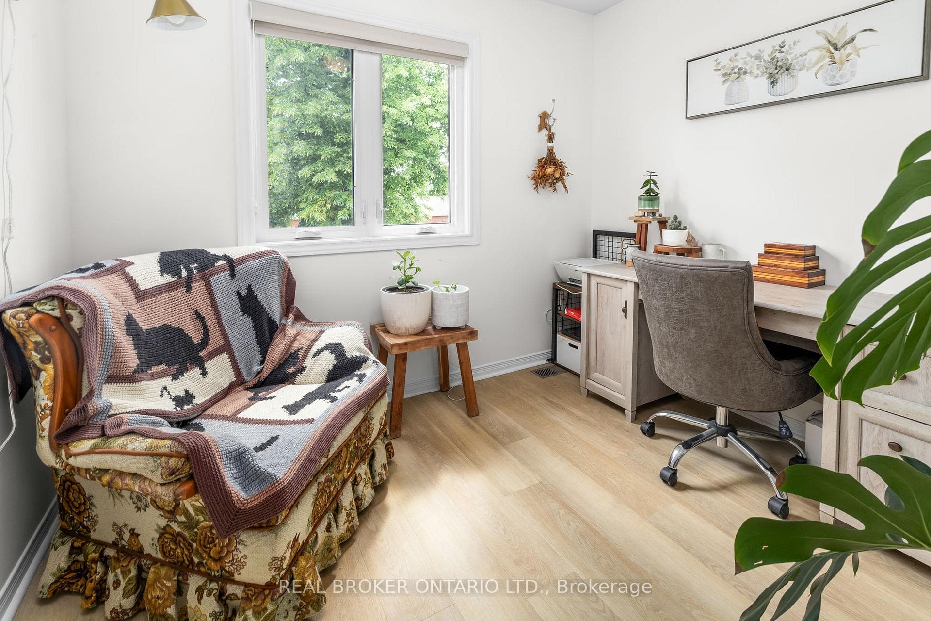 223 Jamieson Street photo 28