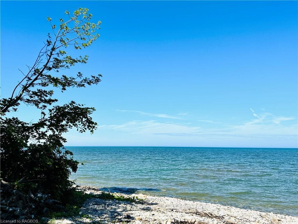 307 BRUCE ROAD 13 N/A photo 23