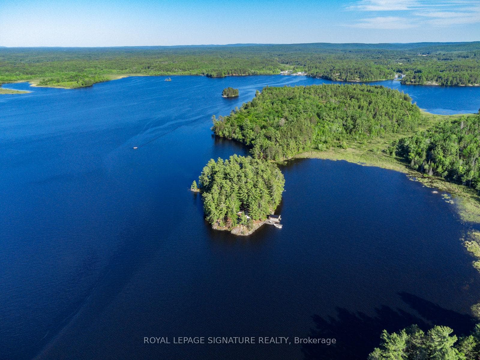 2 Dad's Rest Island photo 43