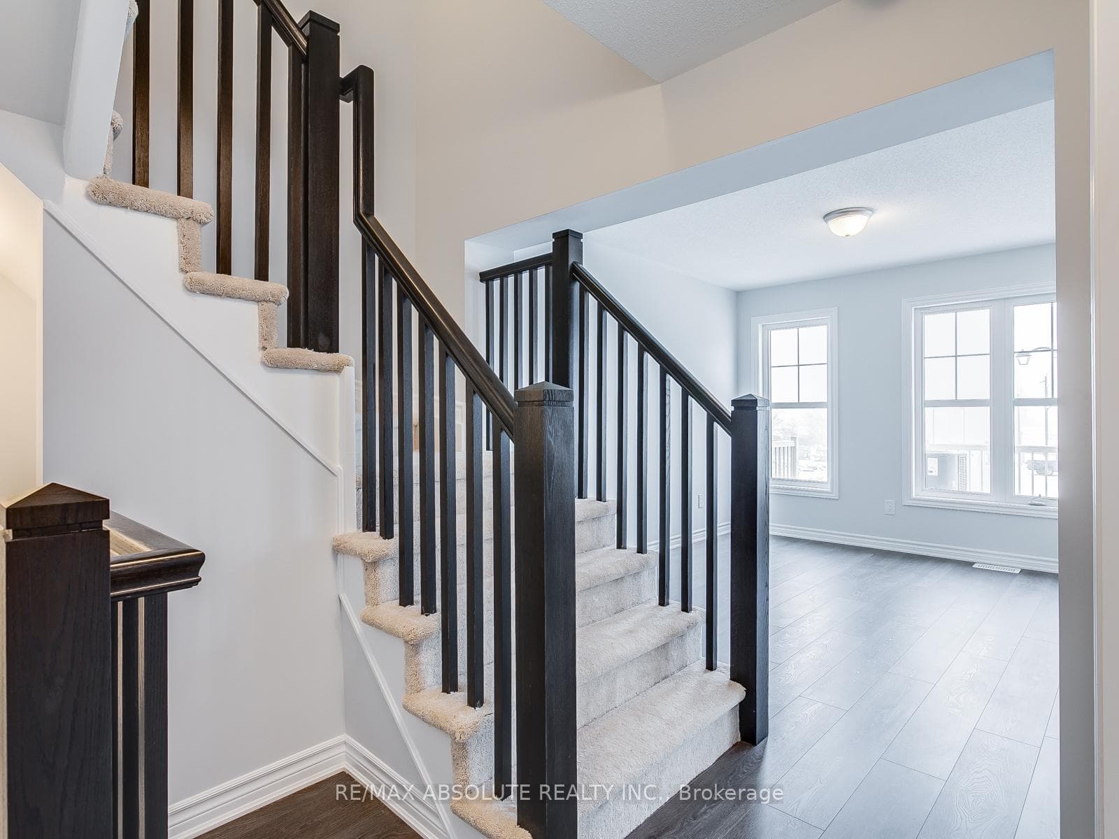 315 PUMPKINSEED Crescent photo 16