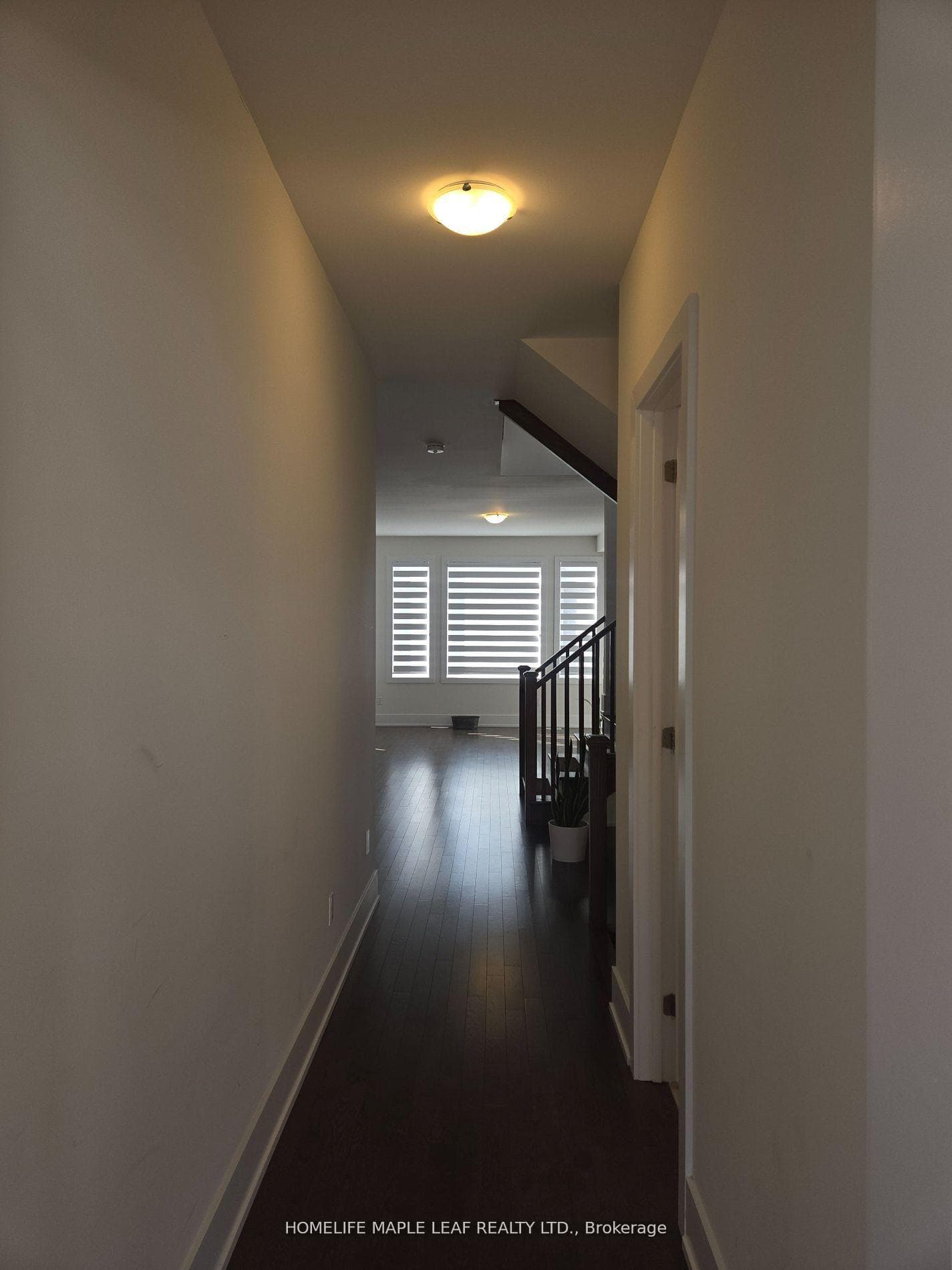 20 Spinland Street photo 6