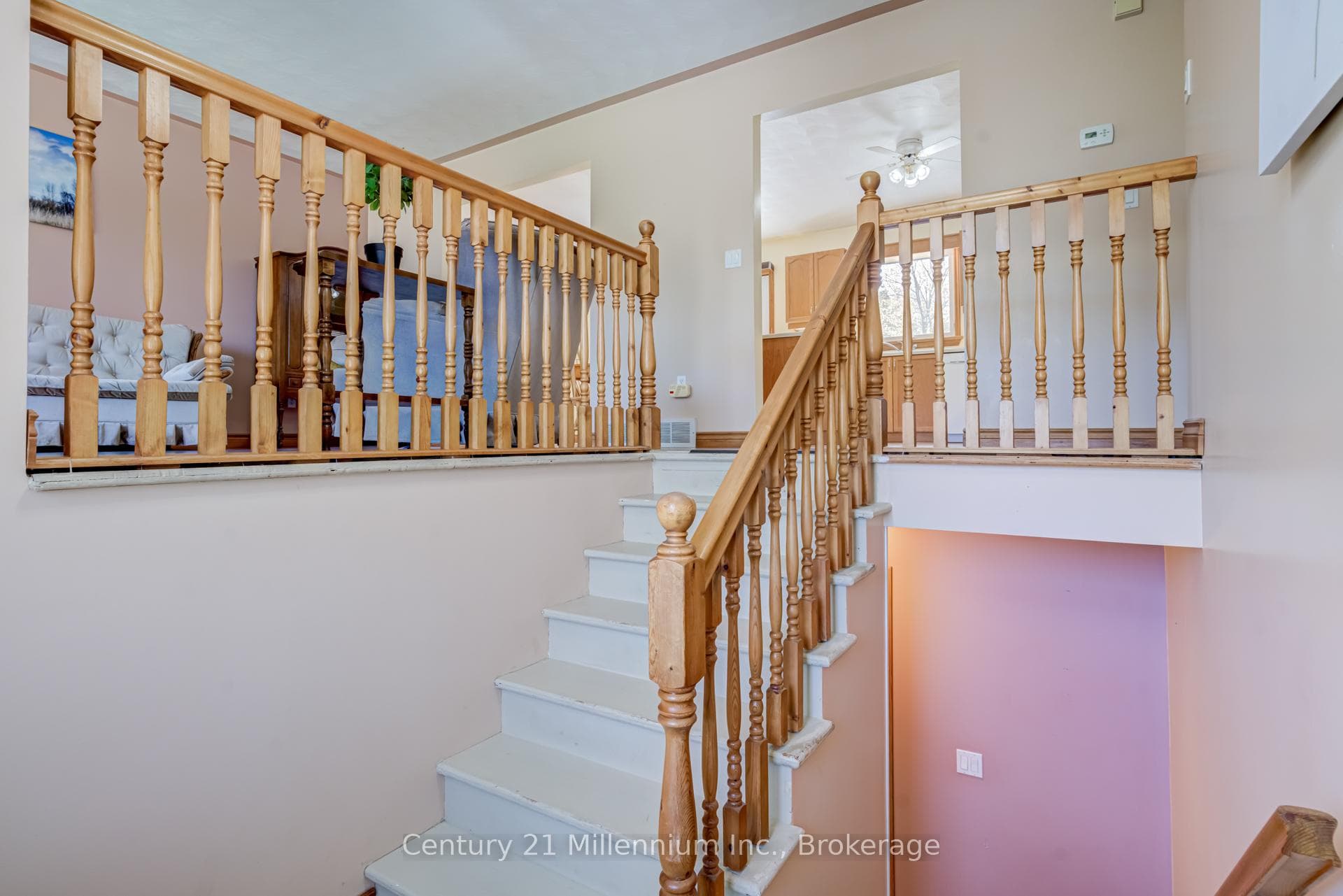 34 Pine Tree Drive photo 7