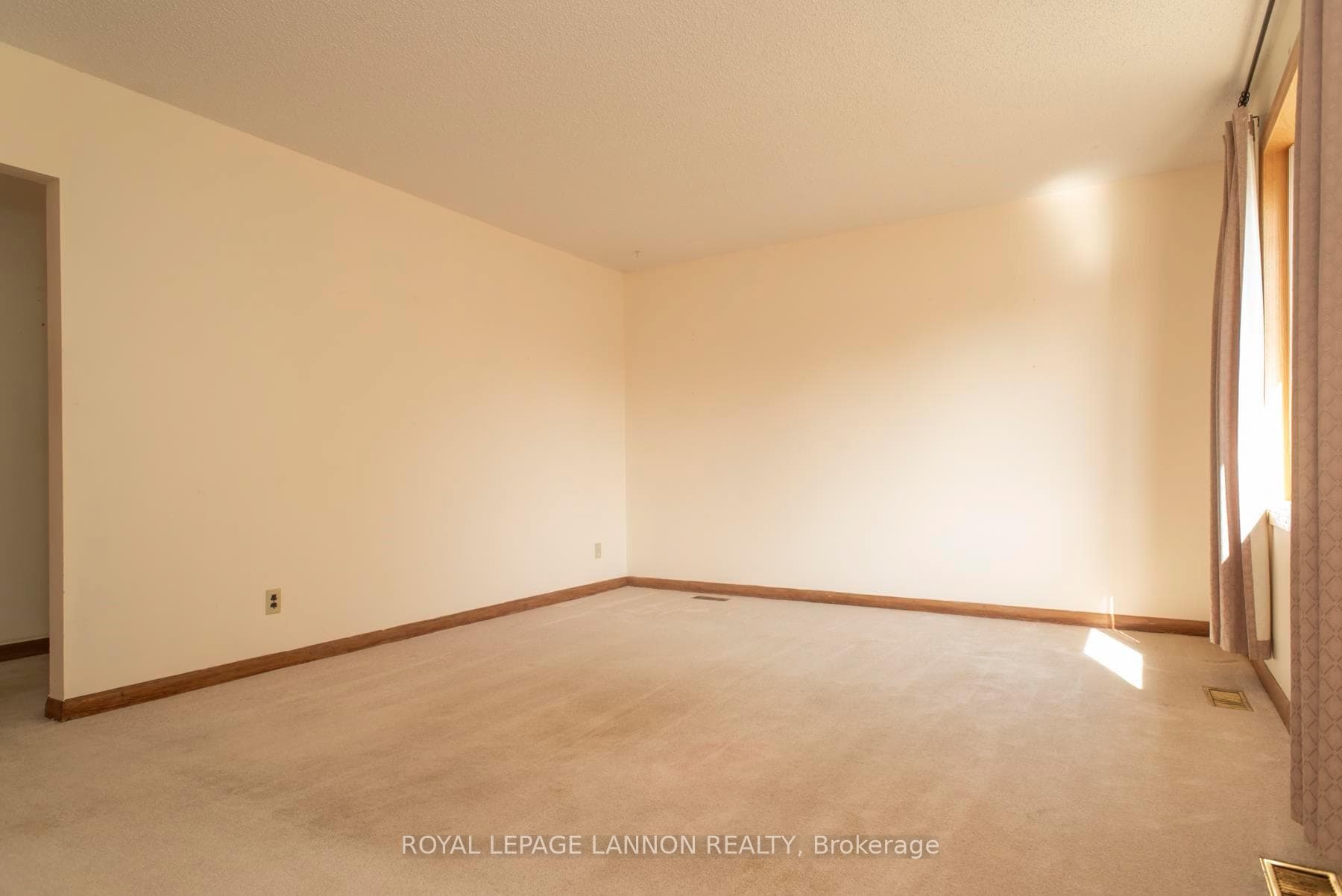 314 Lillian Street photo 3