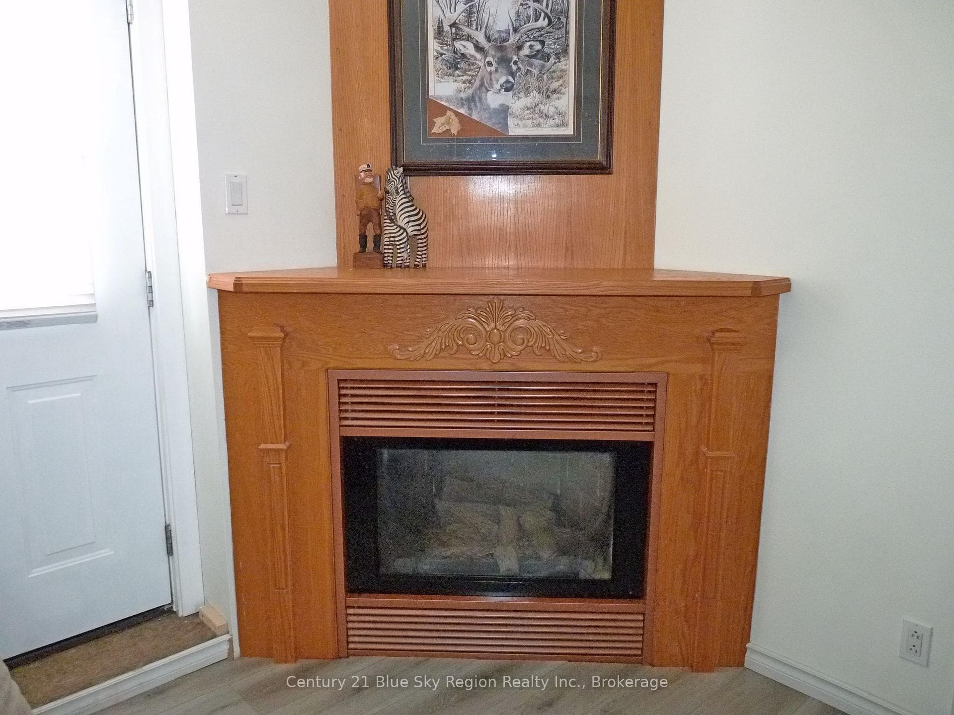 GAS FIREPLACE CLOSEUP