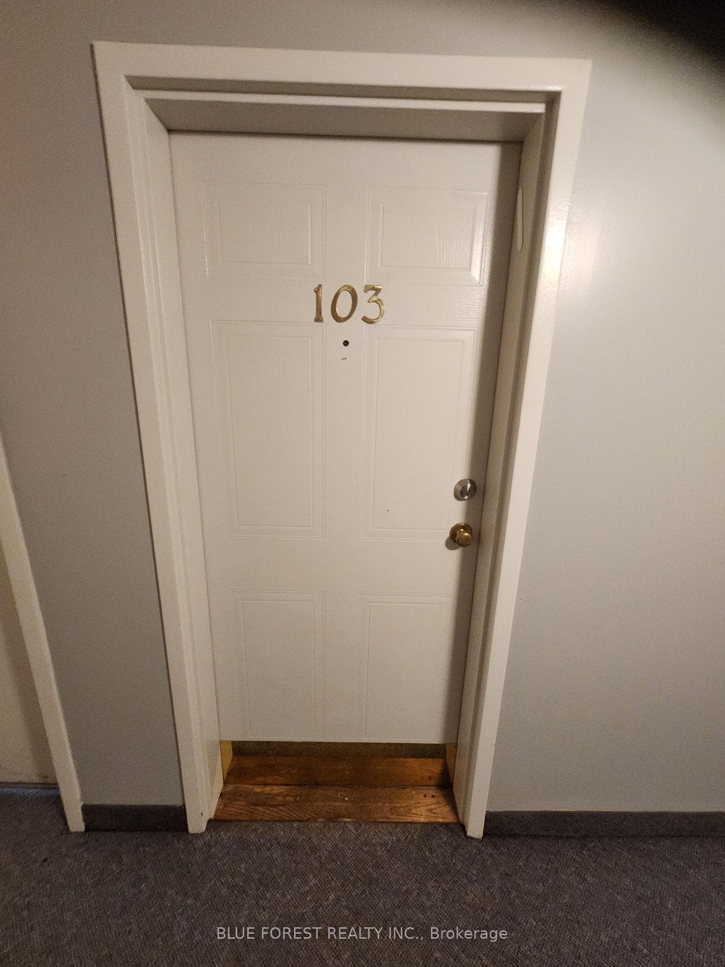 1096 Jalna Boulevard Unit 103 photo 3