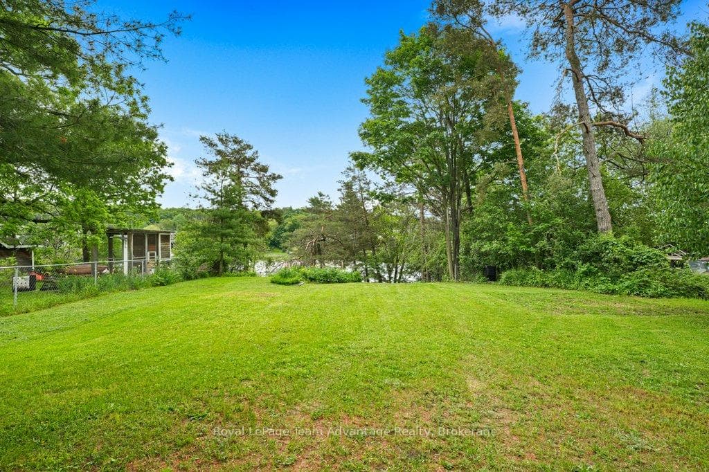 Backyard on Seguin River