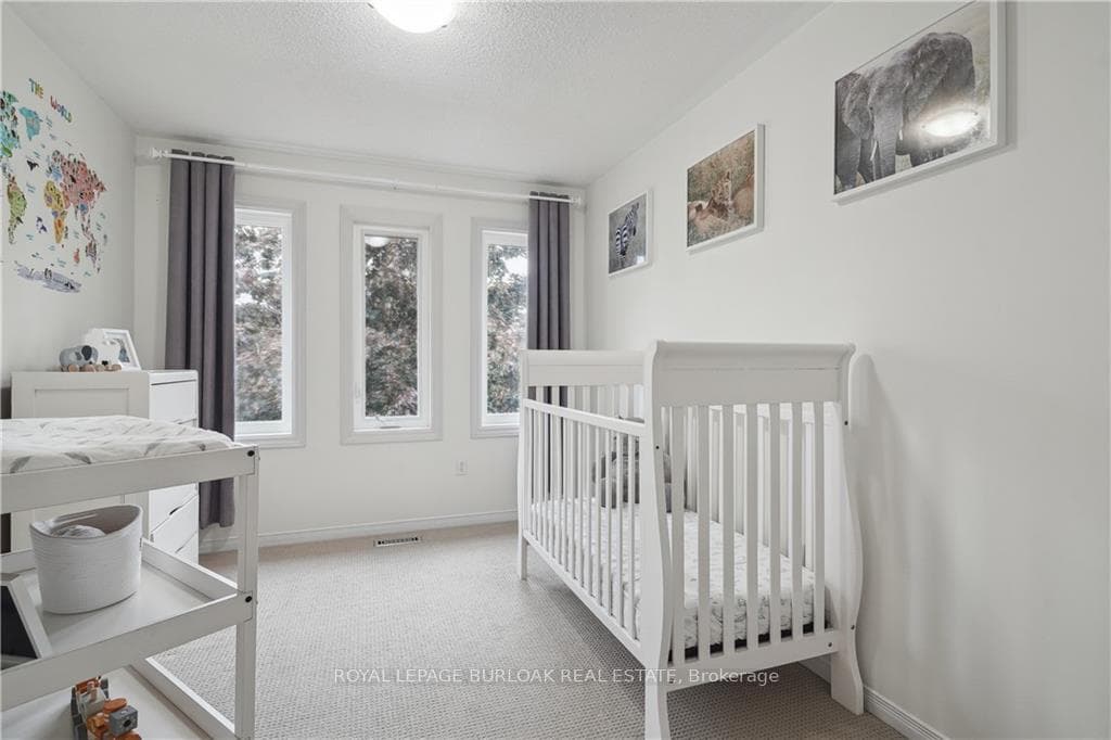 5102 TREE Court photo 21