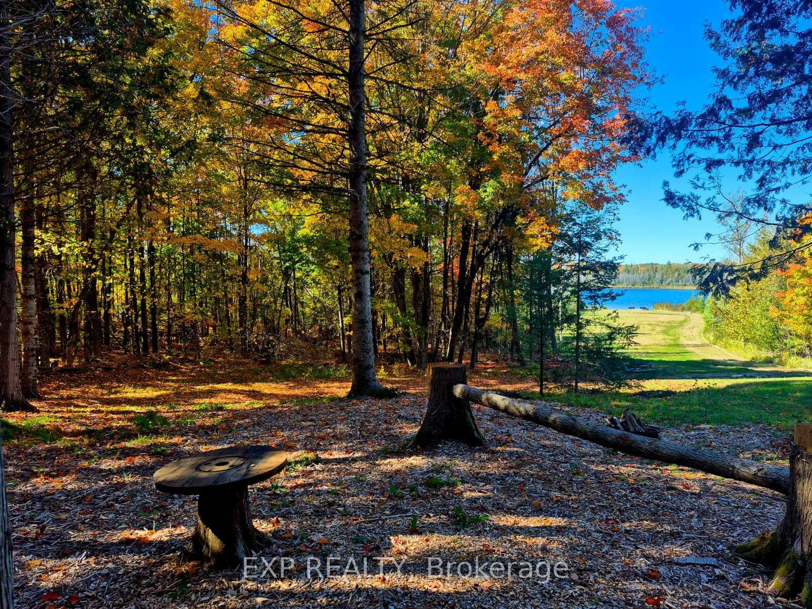 1719 Weslemkoon Lake Road photo 46