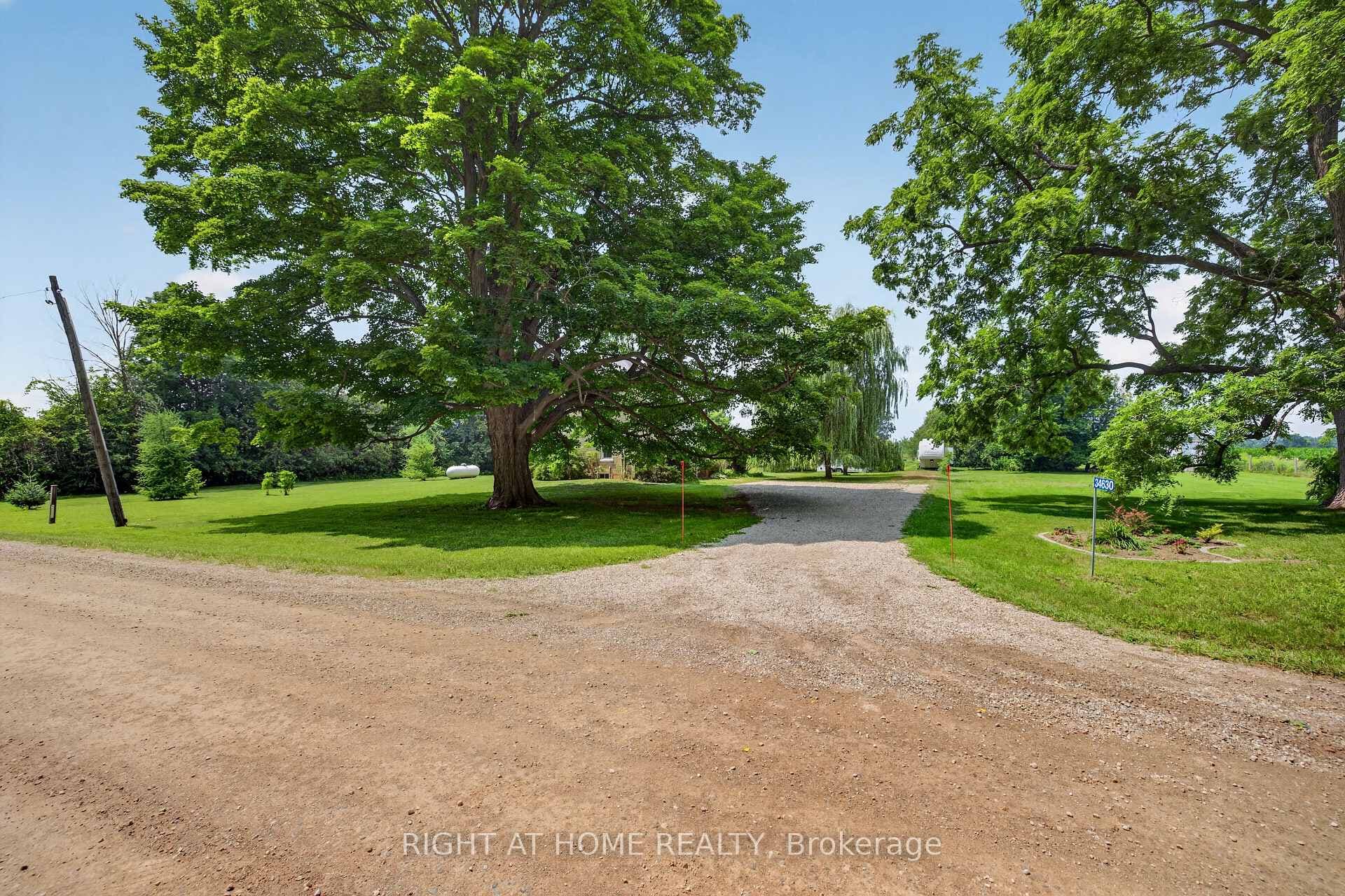 Grand mature trees
