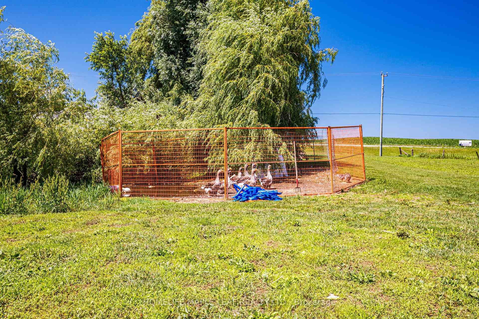 585437 County Road Unit 17 photo 41