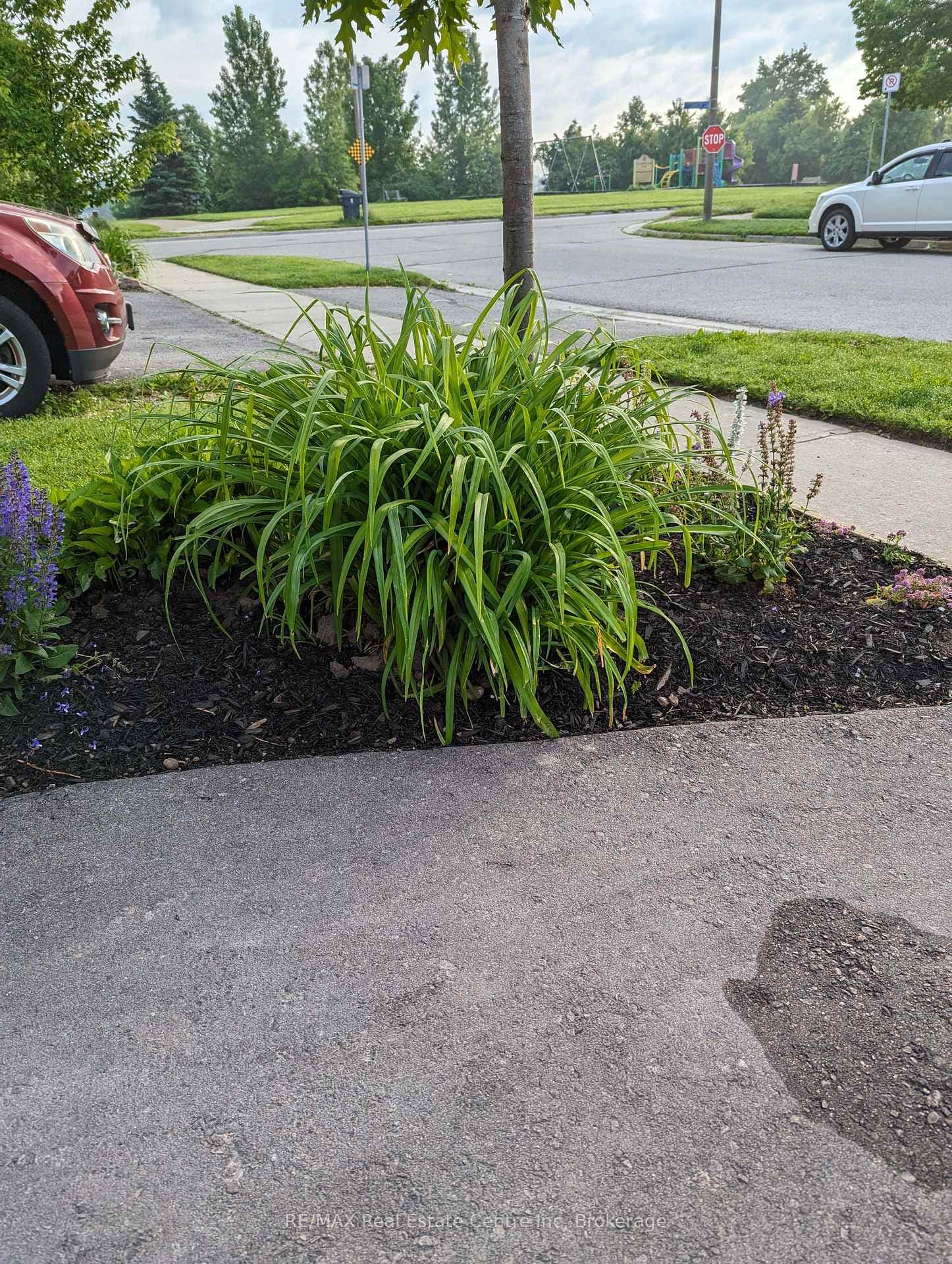 146 Lee Street photo 37