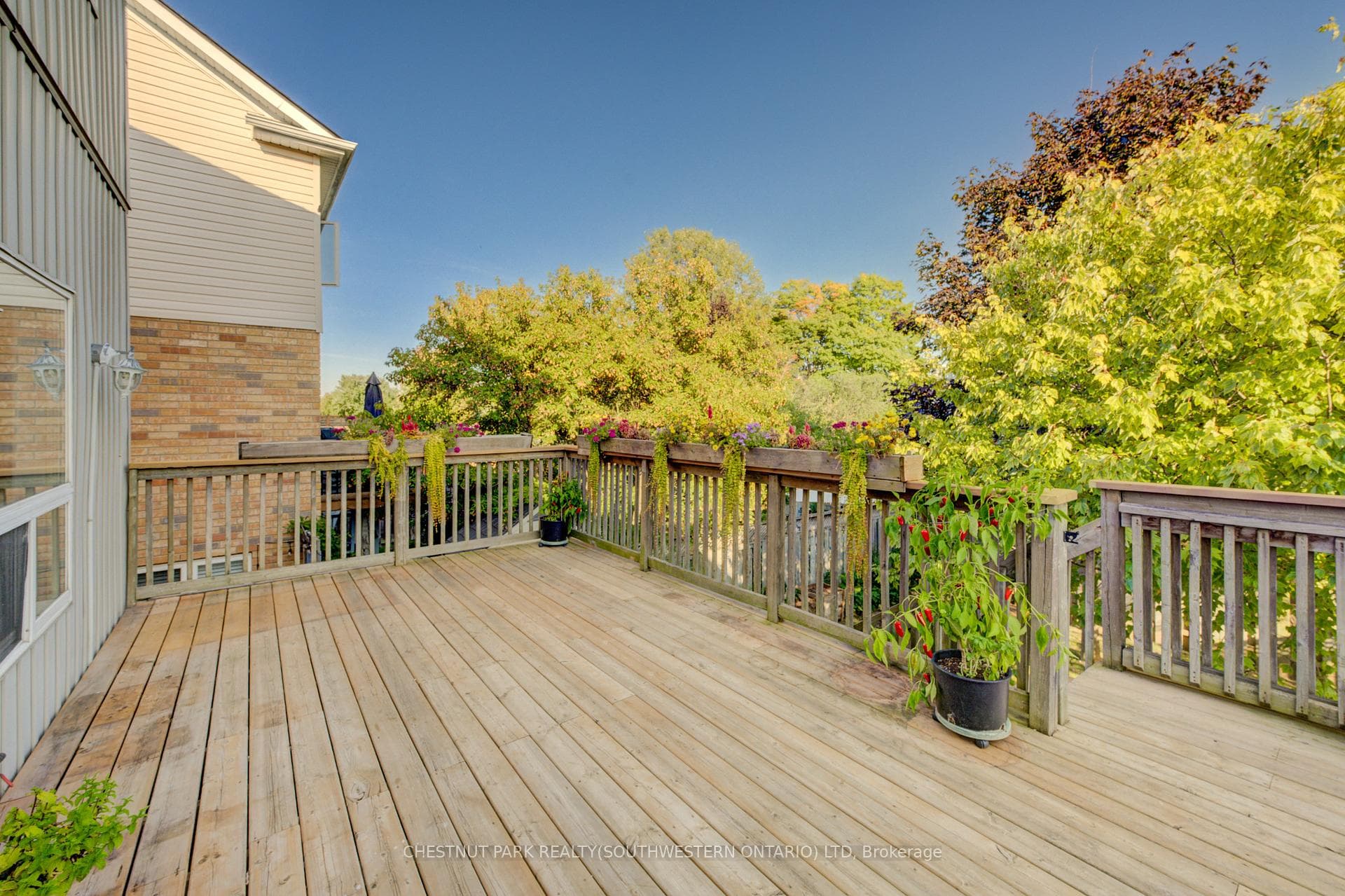 15 Pettitt Drive photo 32