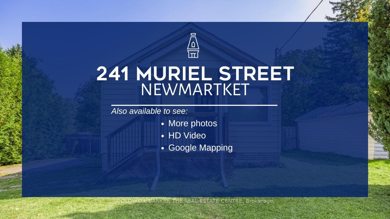 241 Muriel Street photo 34