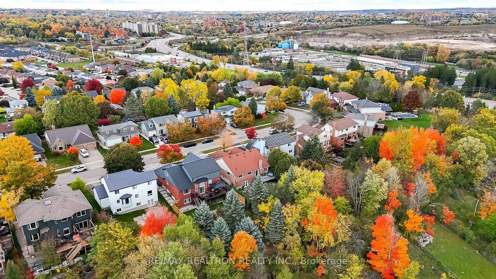 Large Ravine Lot