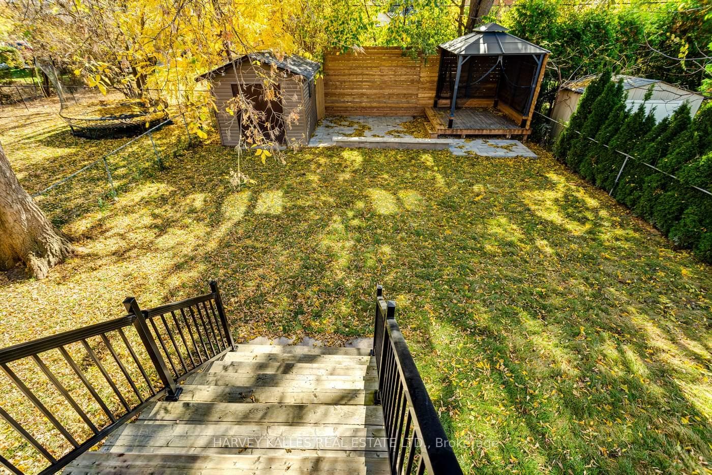 31 Regina Avenue photo 34