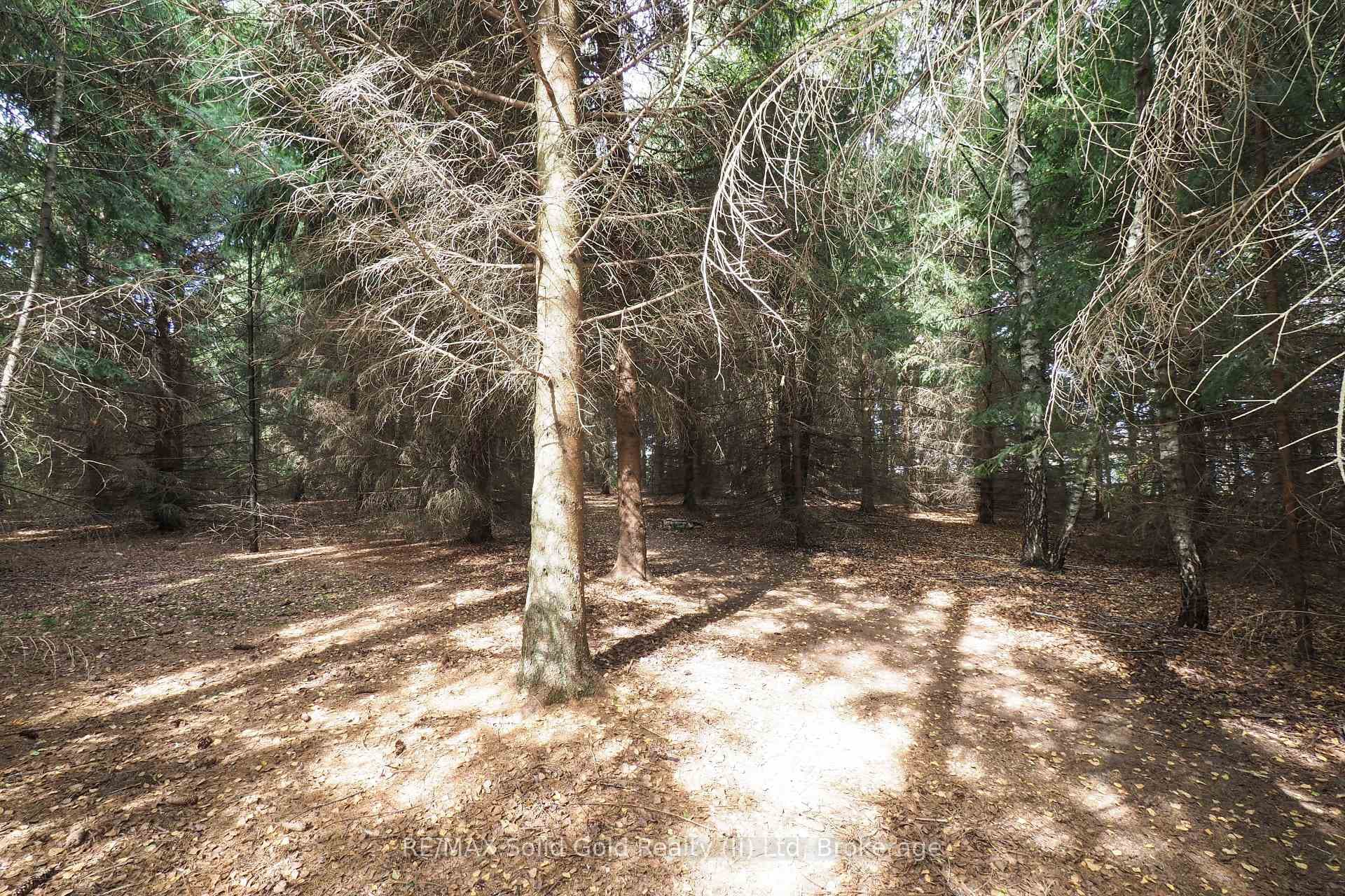 18 Baird Street photo 14