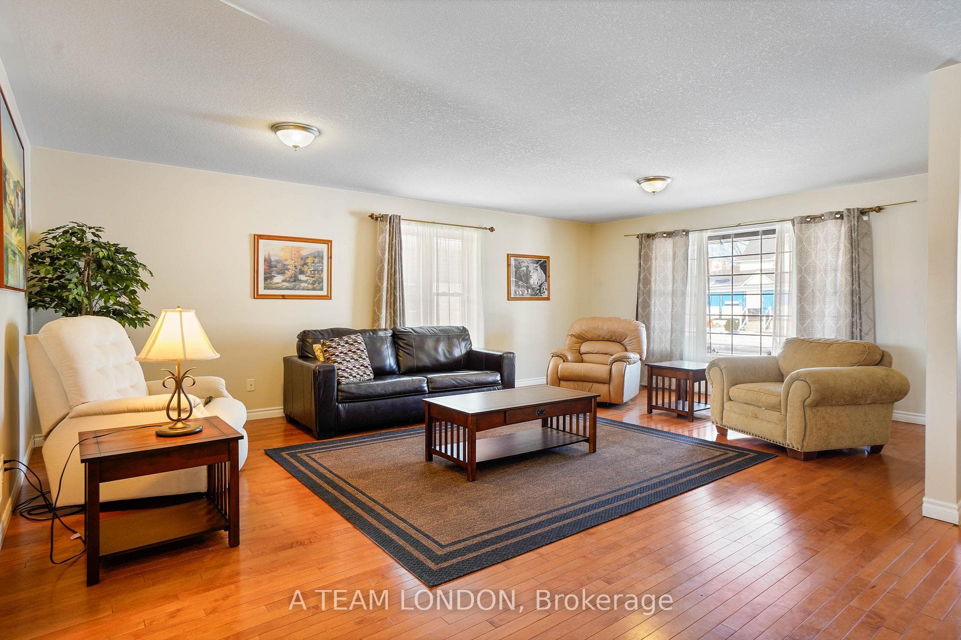 244 Sydenham Street photo 6