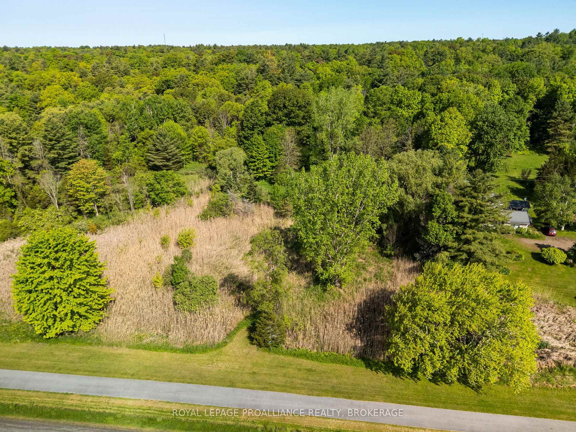 1168 Thousand Island Parkway photo 3