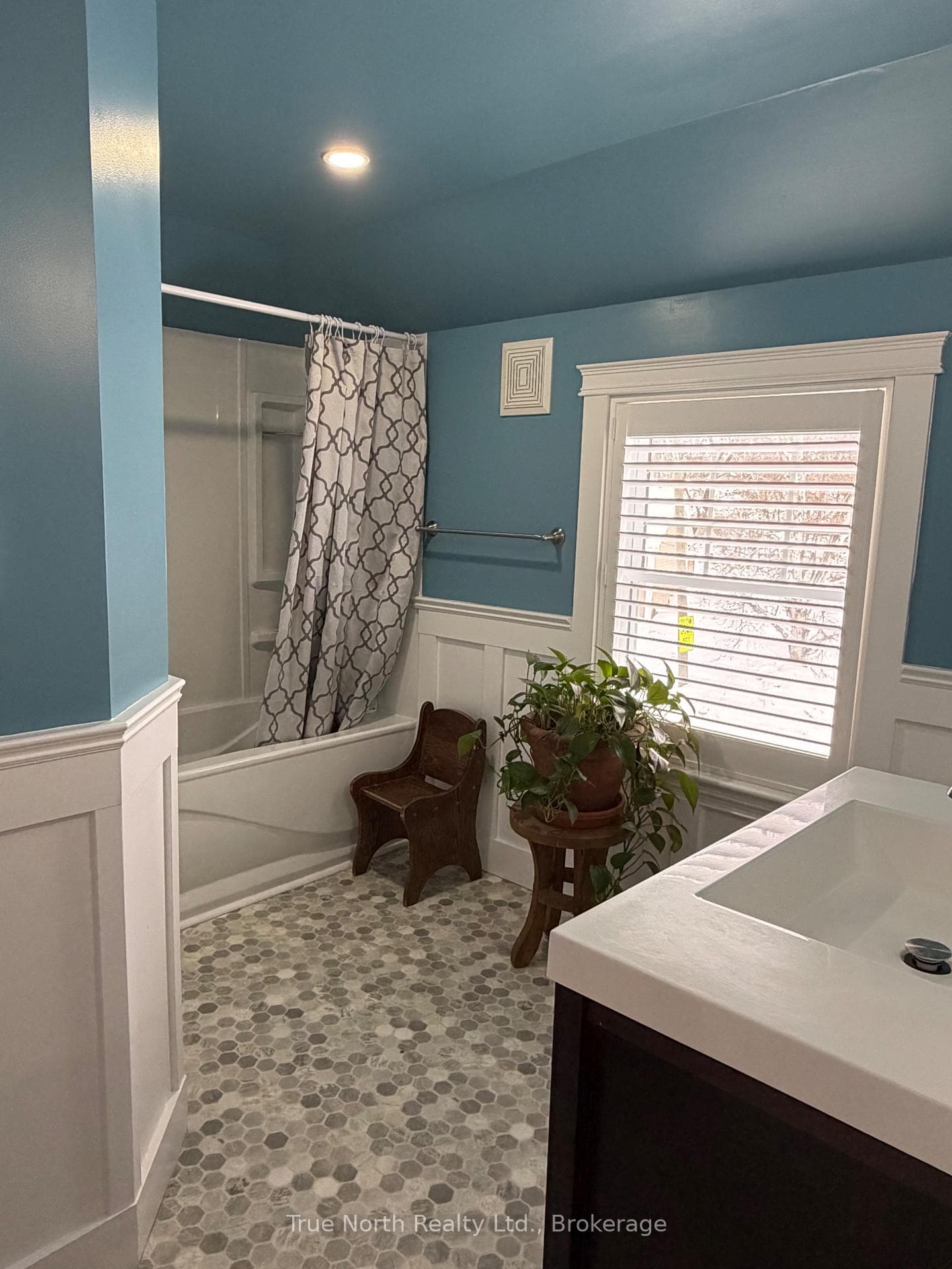 34 Dominion Avenue photo 18