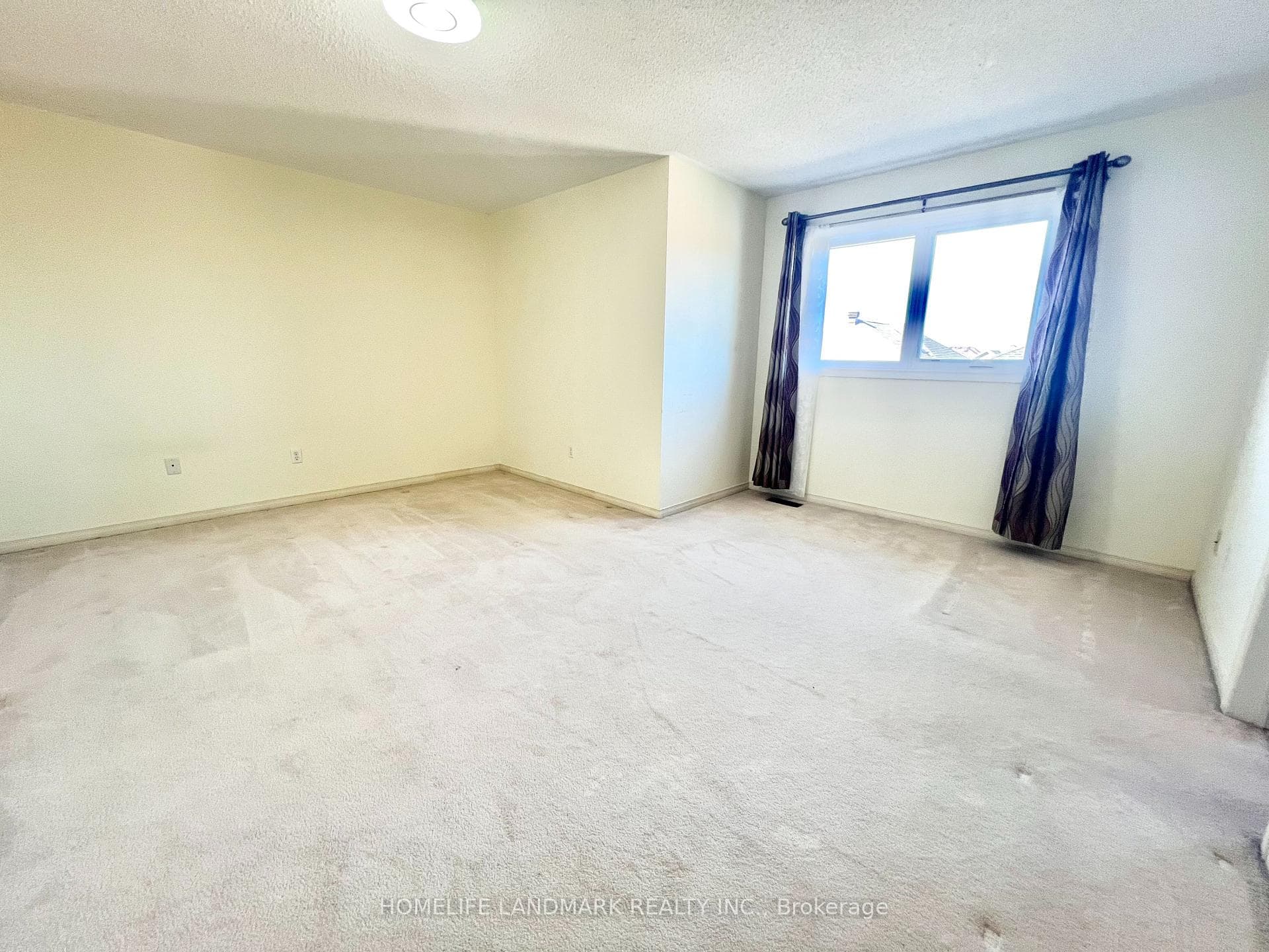 24 Holmwood Street photo 19
