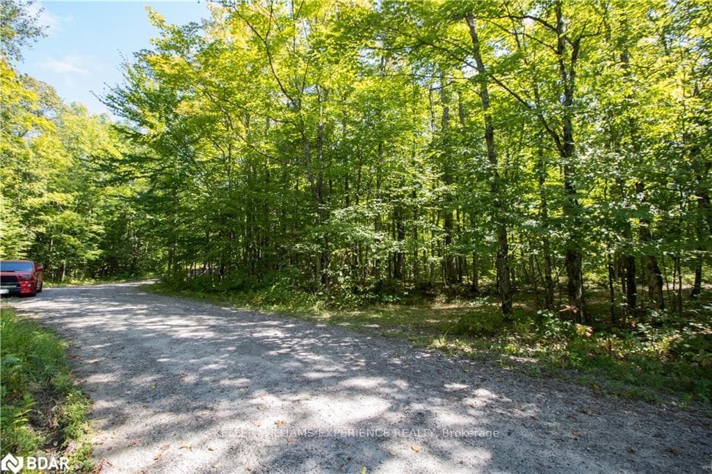 56 Dauncey Road photo 19