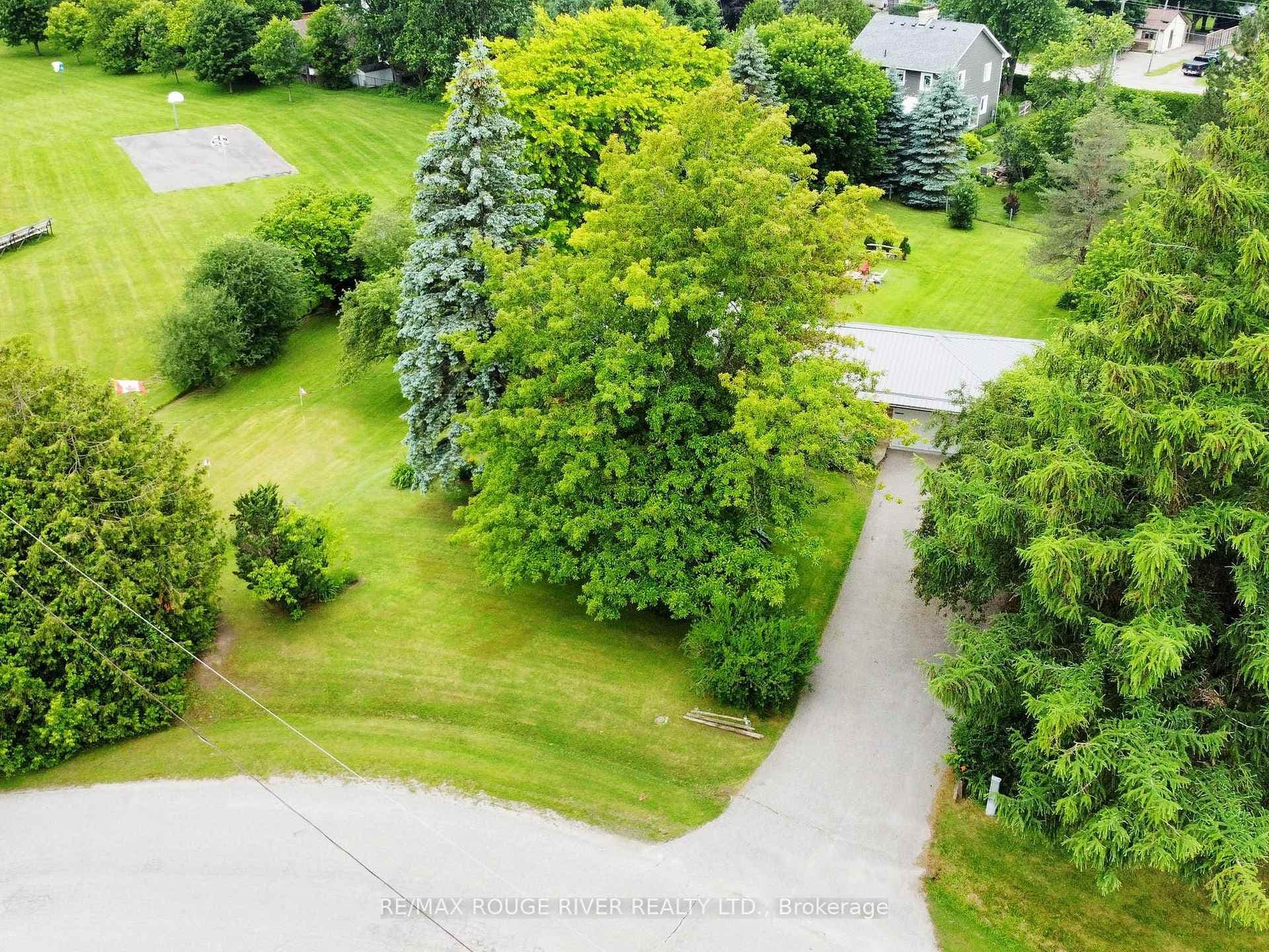 8 Harrison Drive photo 33