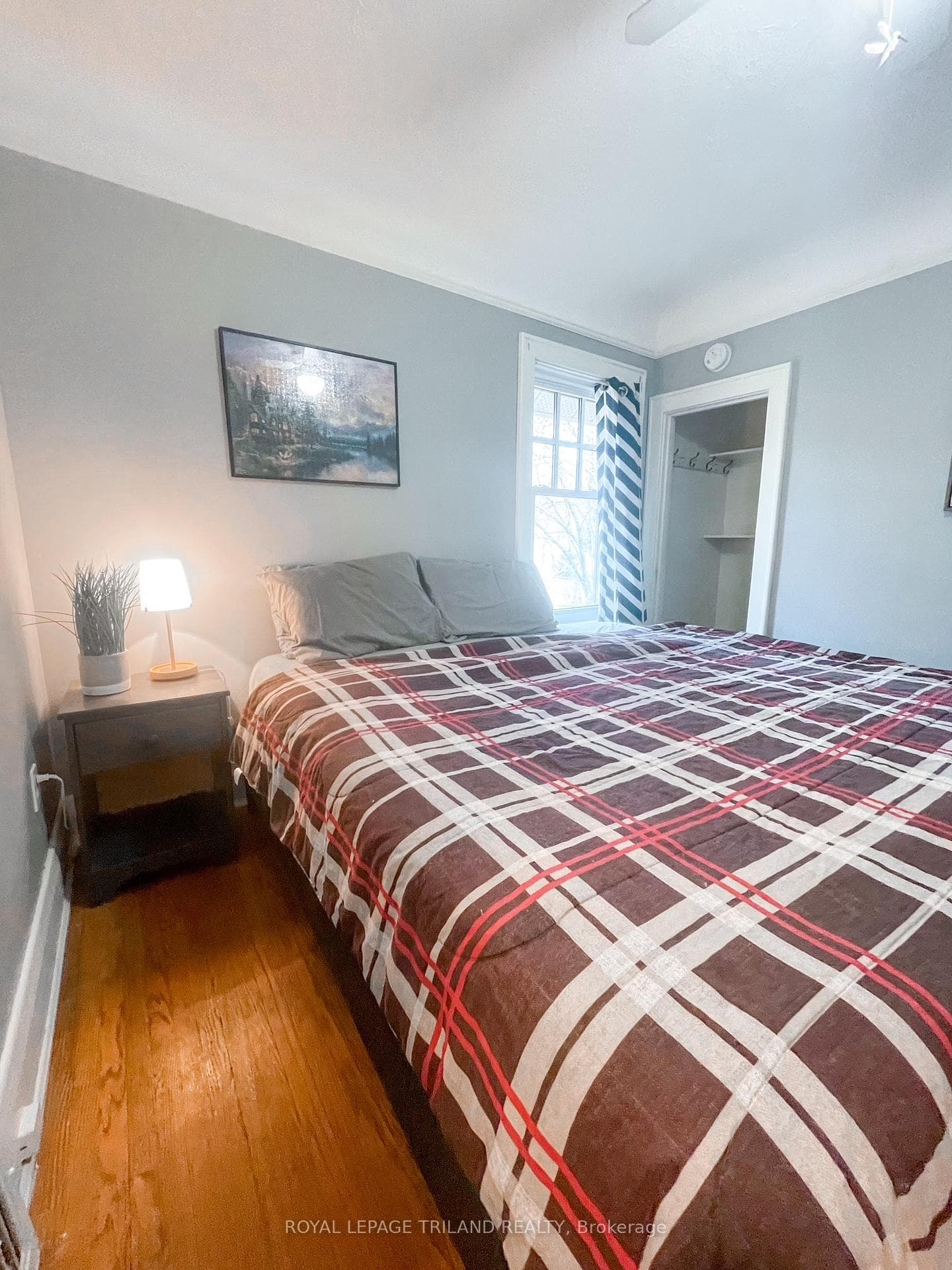 222 Edward Street photo 7