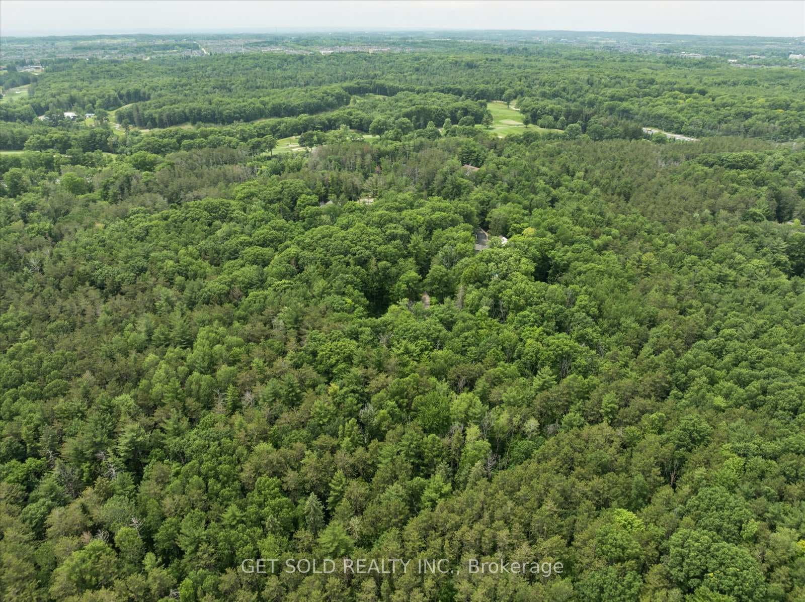 80 White Pine Trail photo 25