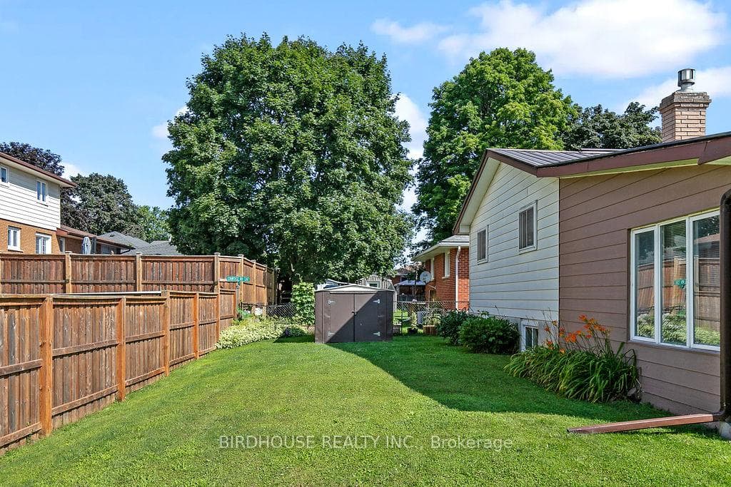 8 Waddell Street photo 31