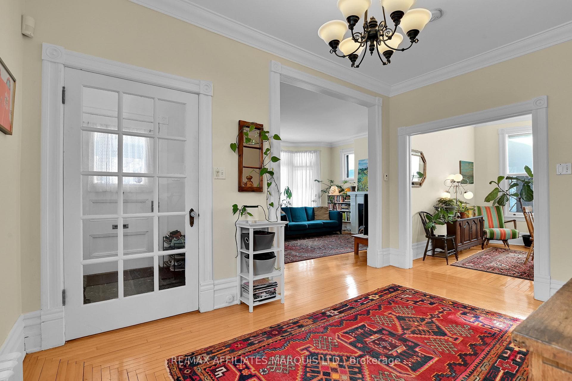 230 Sydney Street photo 5