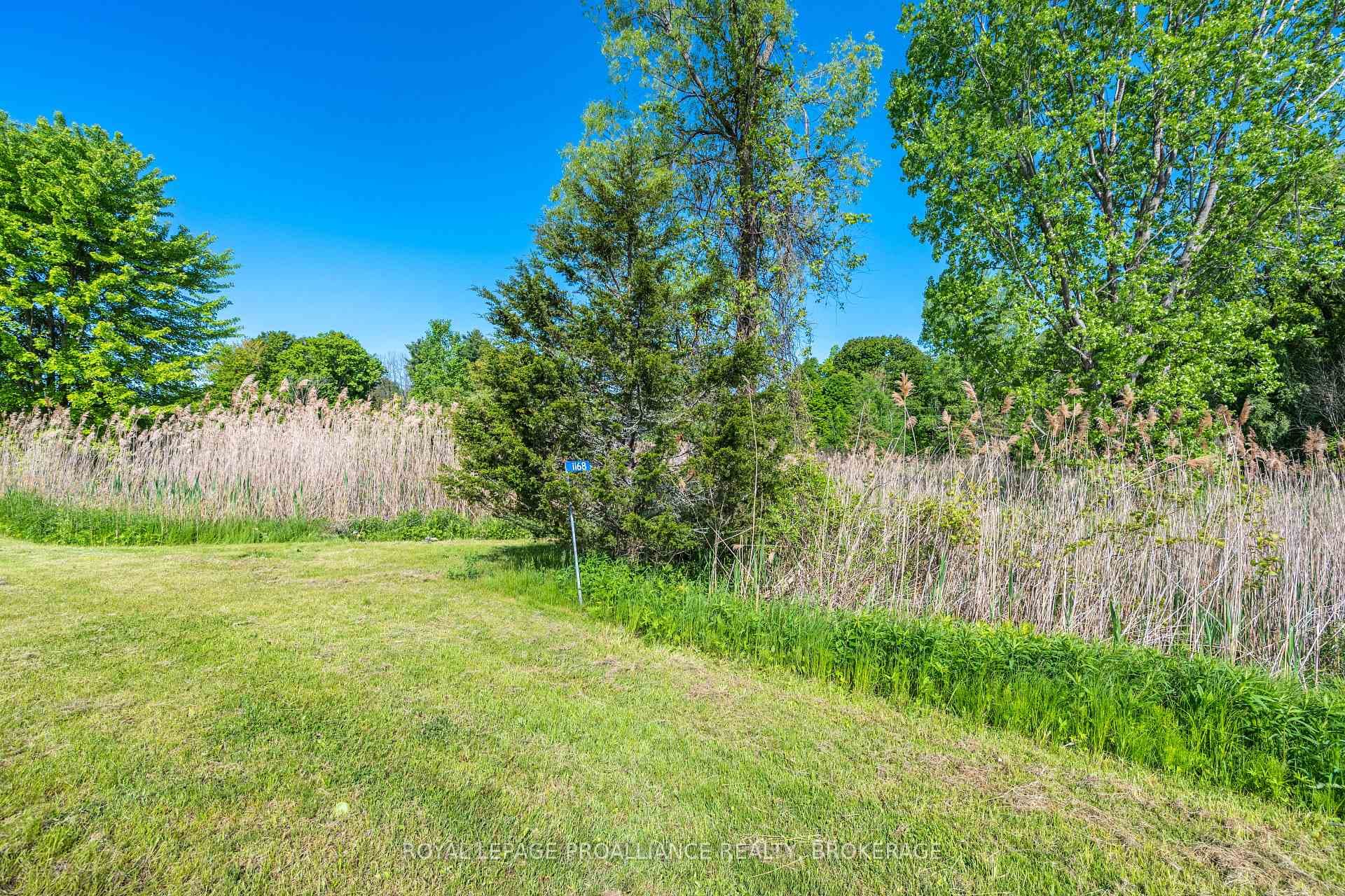1168 Thousand Island Parkway photo 15