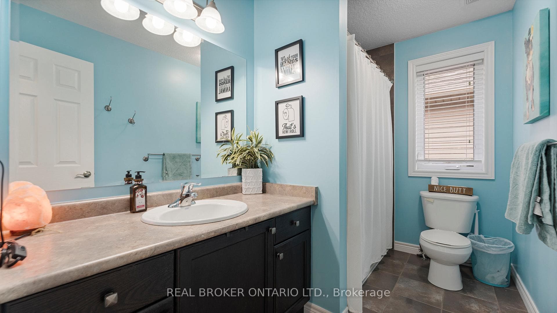211 Maple Bush Drive photo 14