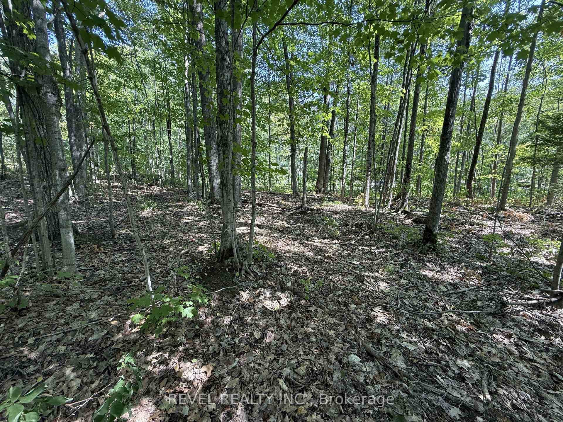 7815 Riverleigh Drive photo 11