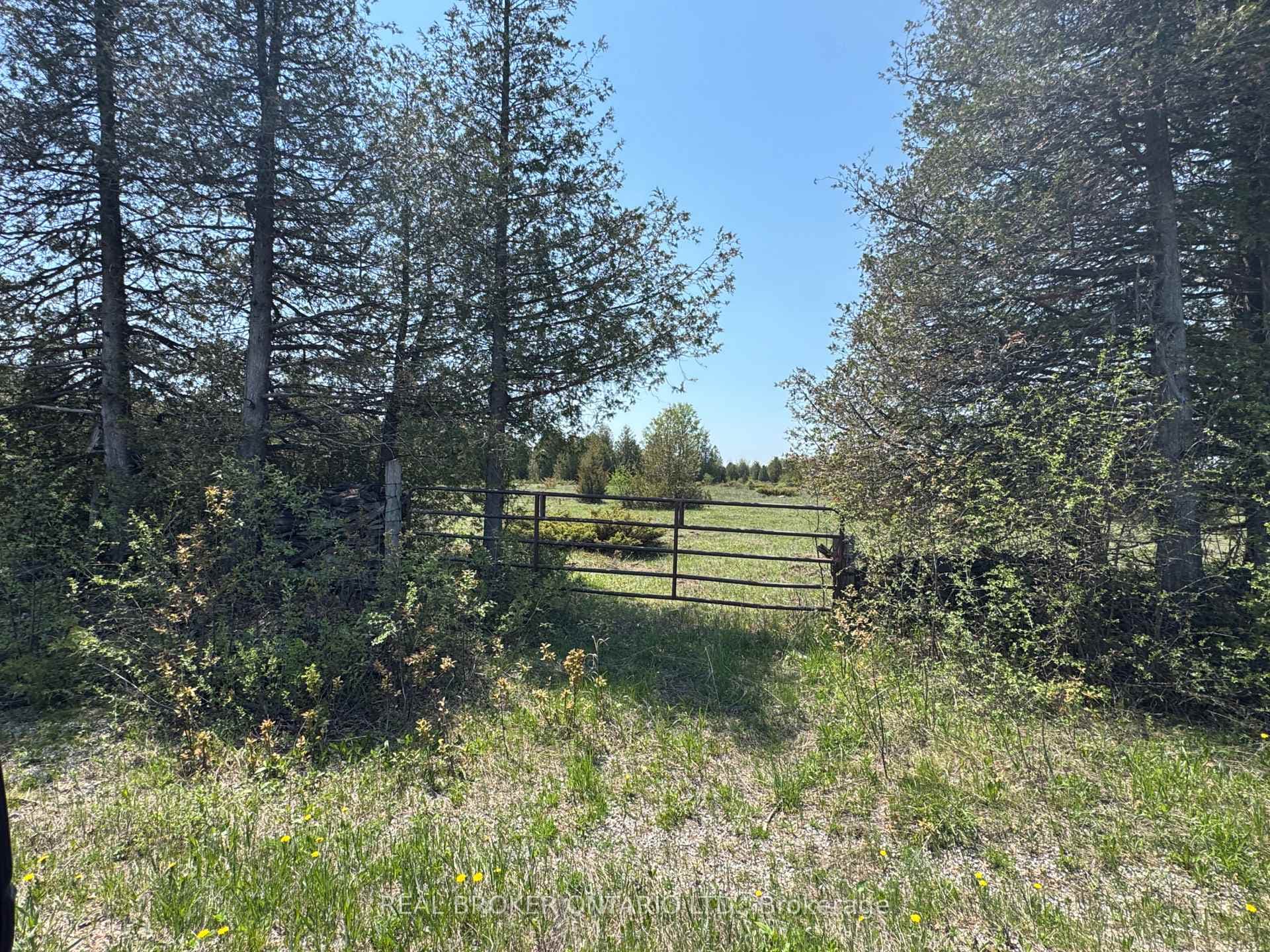 00 WILLIAM CAMPBELL Road photo 5