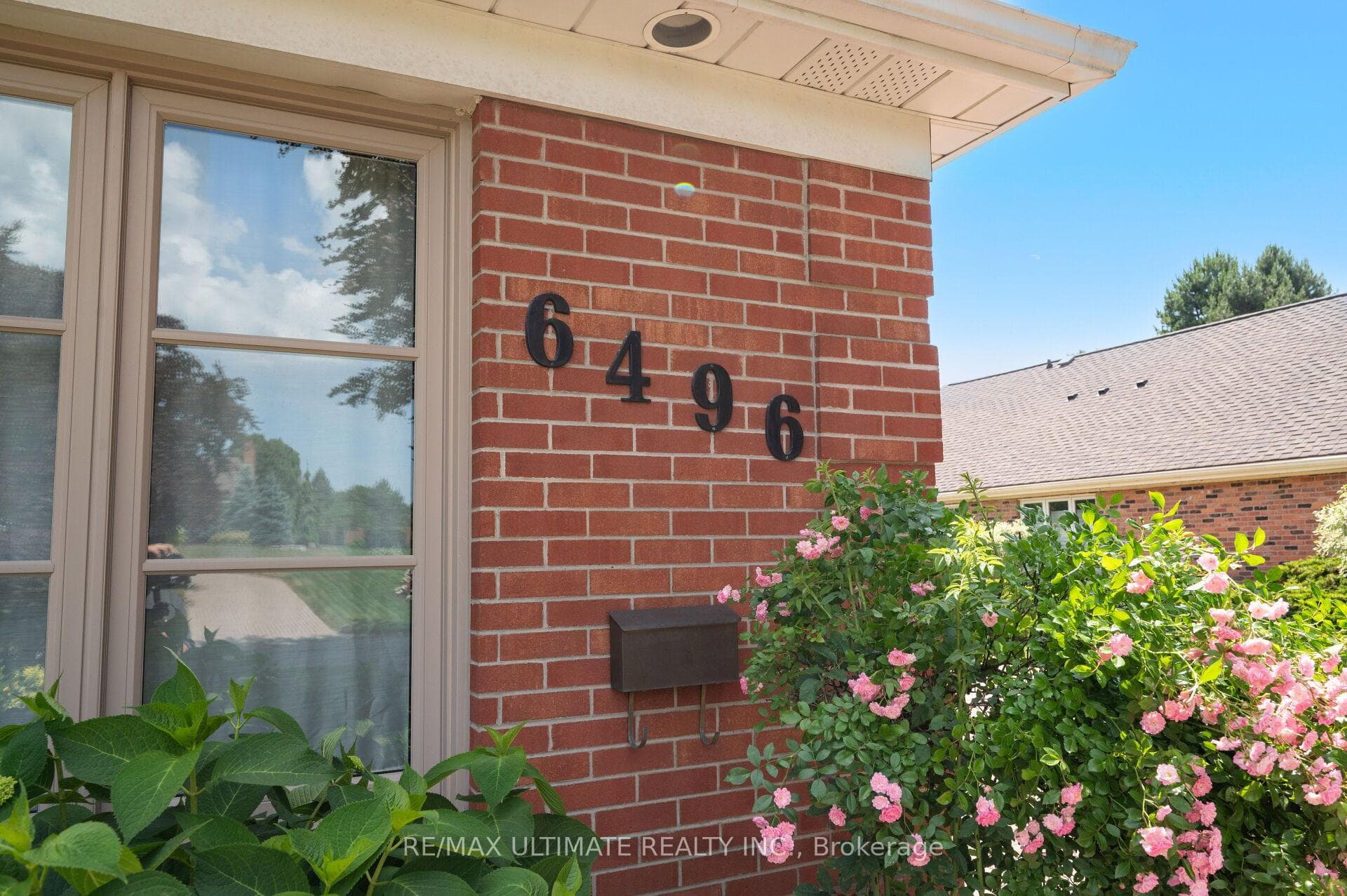 6496 January Drive photo 5