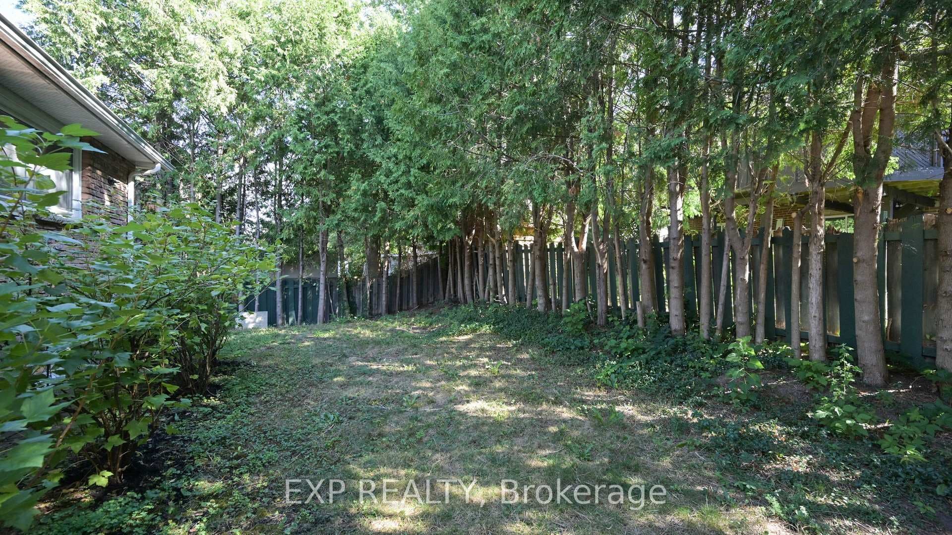 65 Lowe Boulevard photo 37