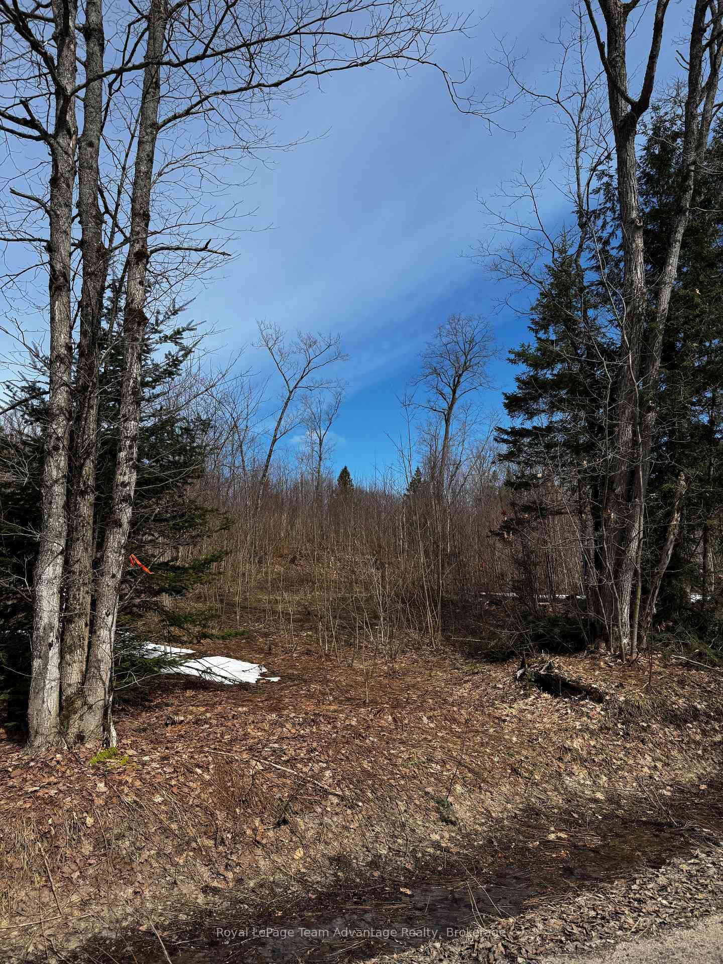 Lot 2 Lorimer Lake Road photo 4