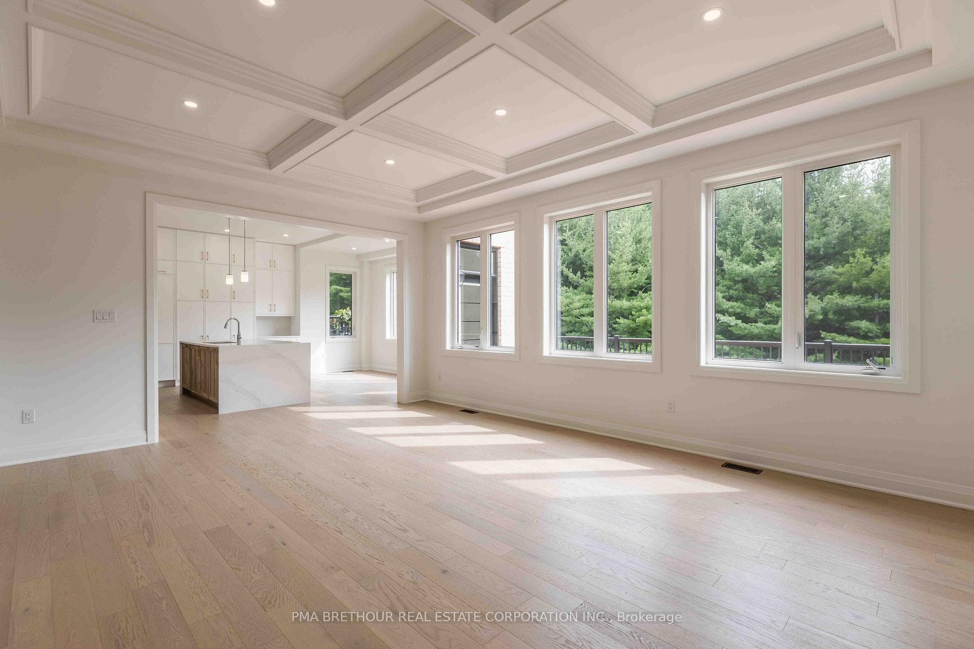 Greatroom Overlooking Gourmet Kitchen