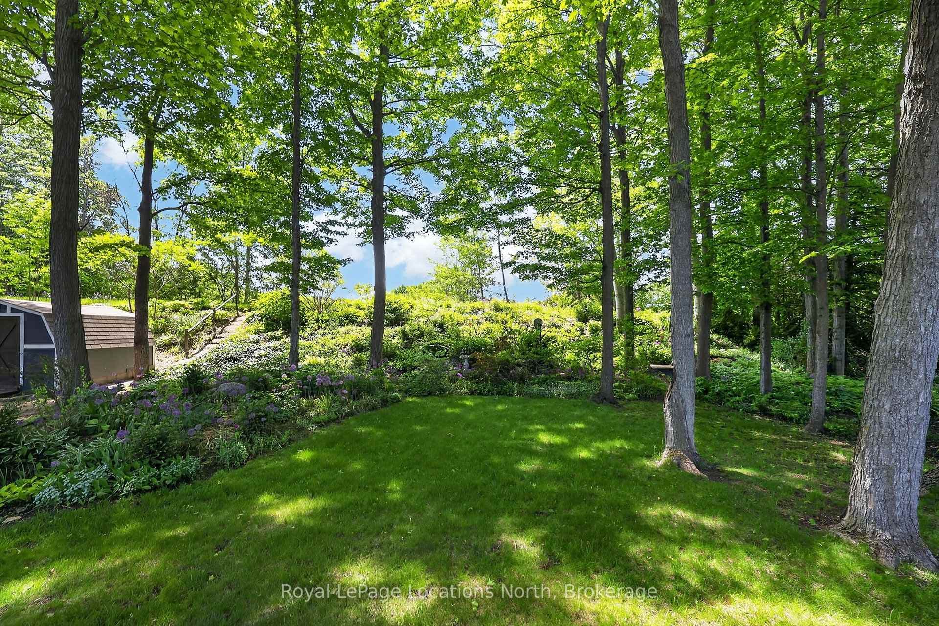 25 Pollard Drive photo 31