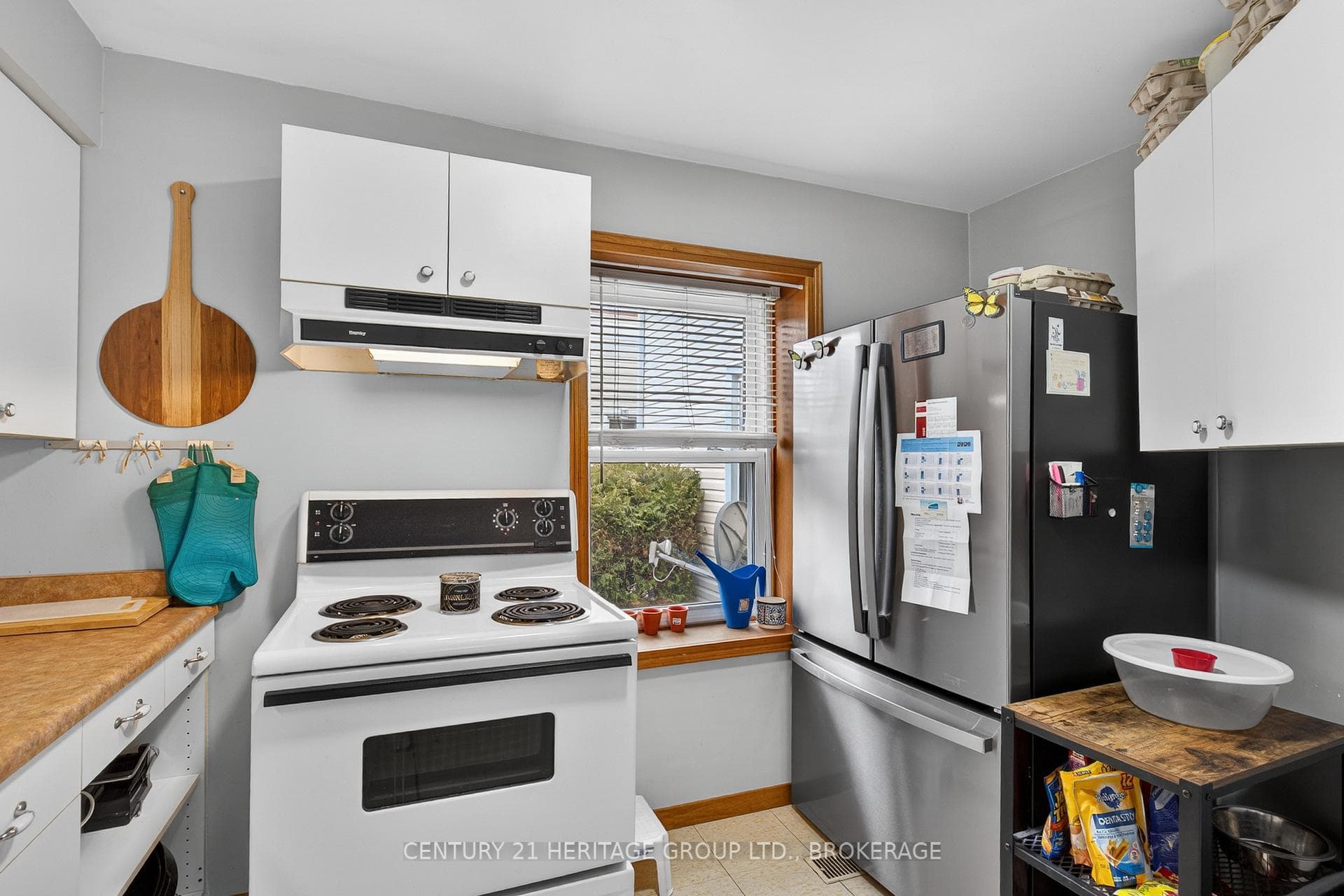 4 Gilbert Street photo 22