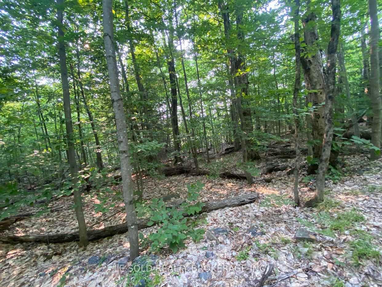 1310 Camel Lake Road Unit Lot # 7 photo 9