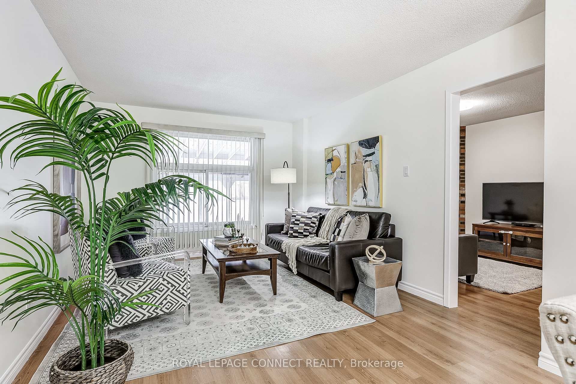 44 Goodwood Drive photo 9