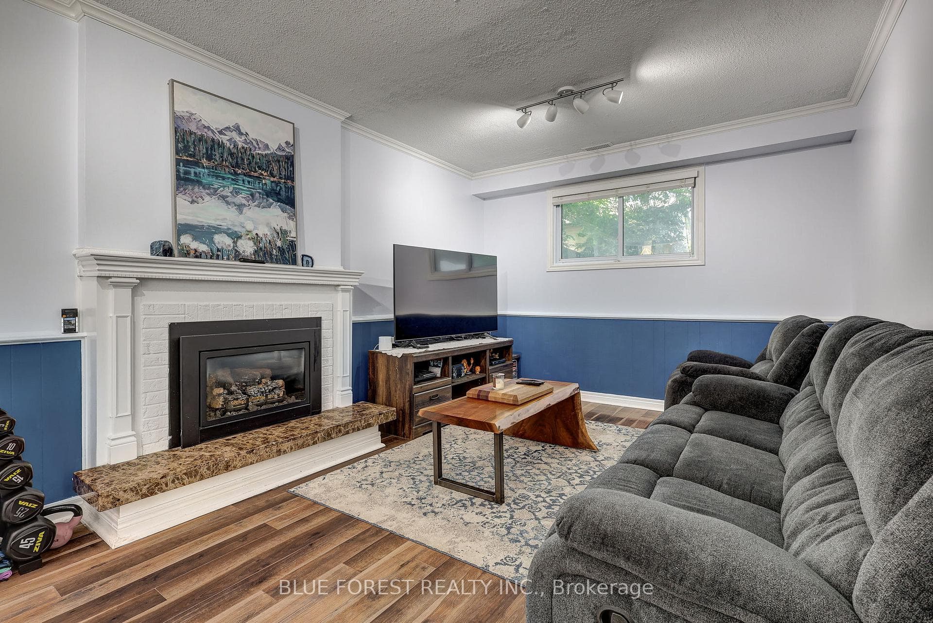 Family Room w/ Fireplace