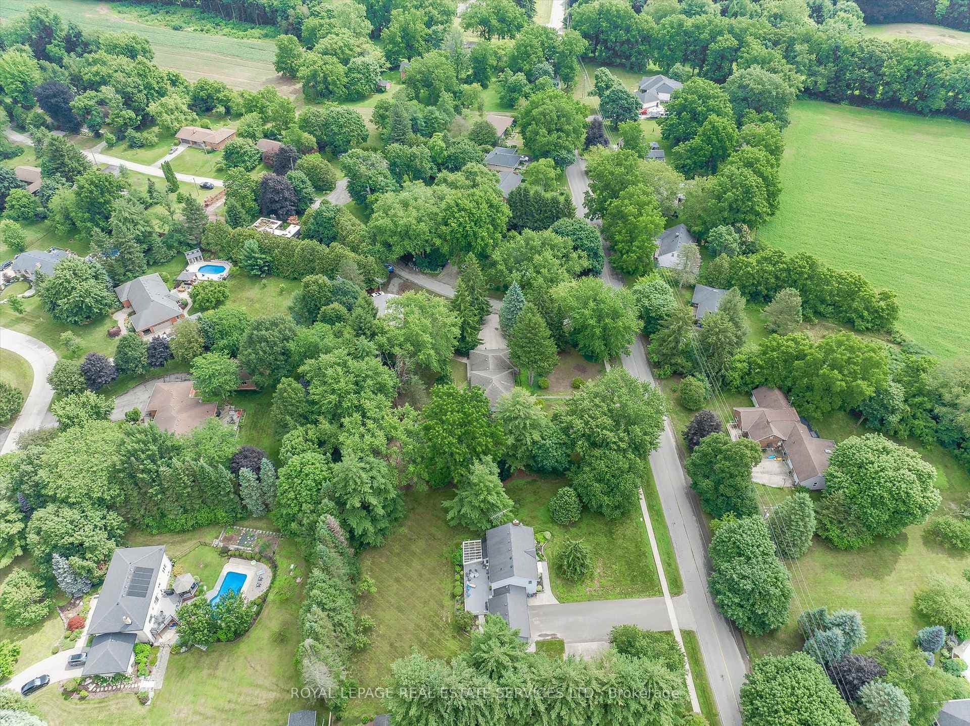 Aerial View of the Property