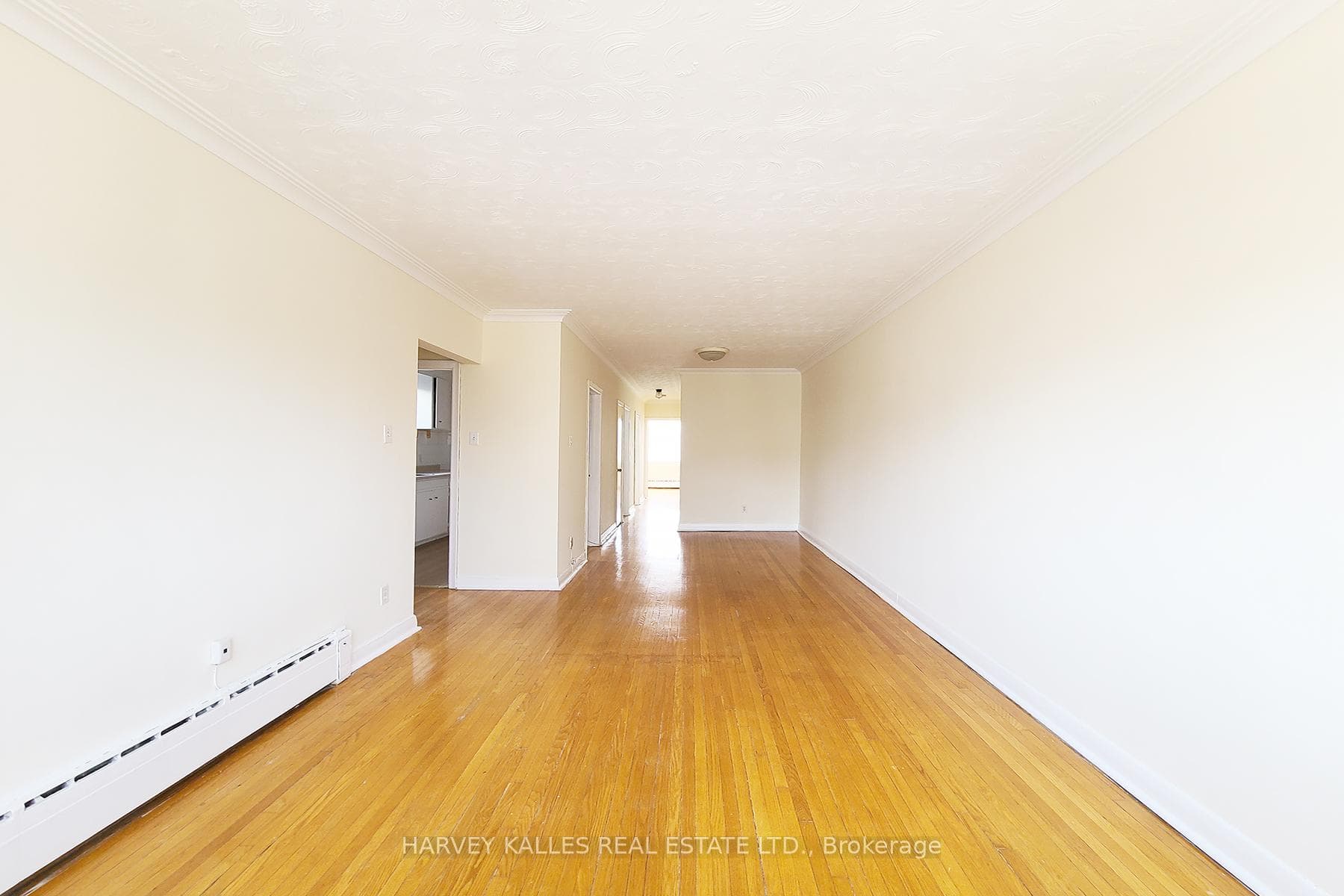 103 & 105 Gilmour Avenue photo 3