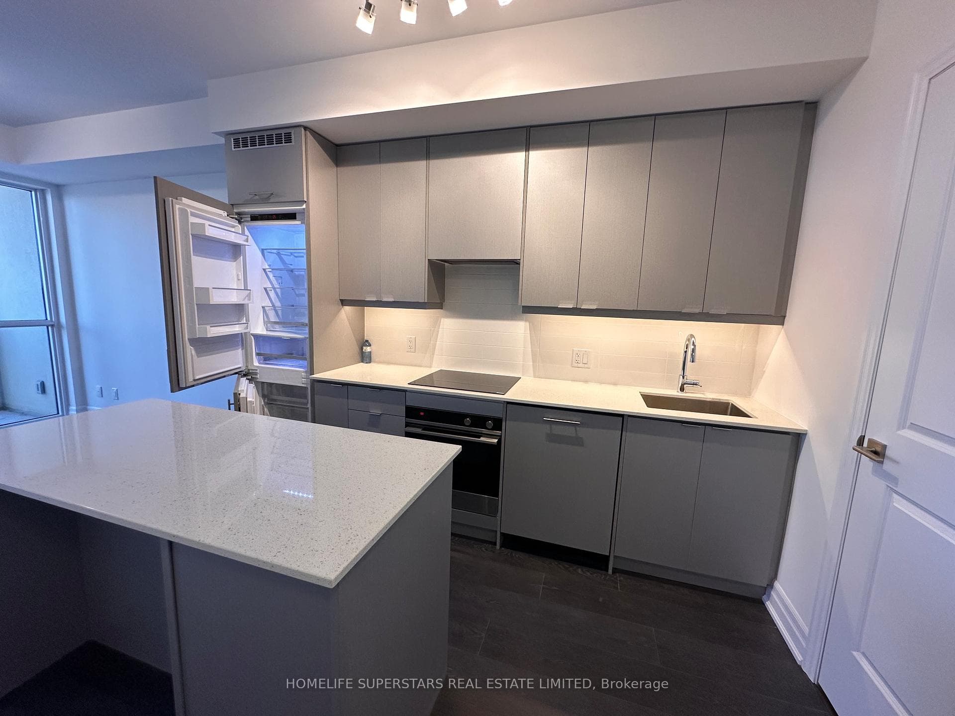 30 Elm Drive Unit 2907 photo 10