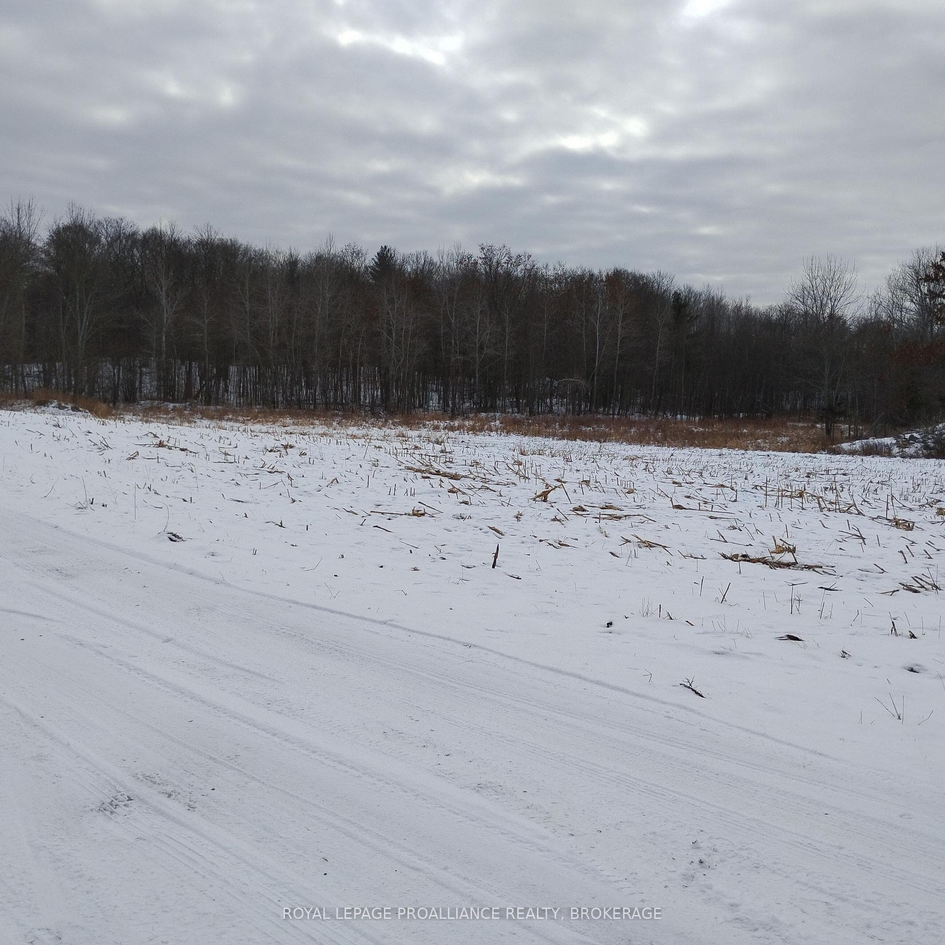 01083 Hoover Lane photo 2