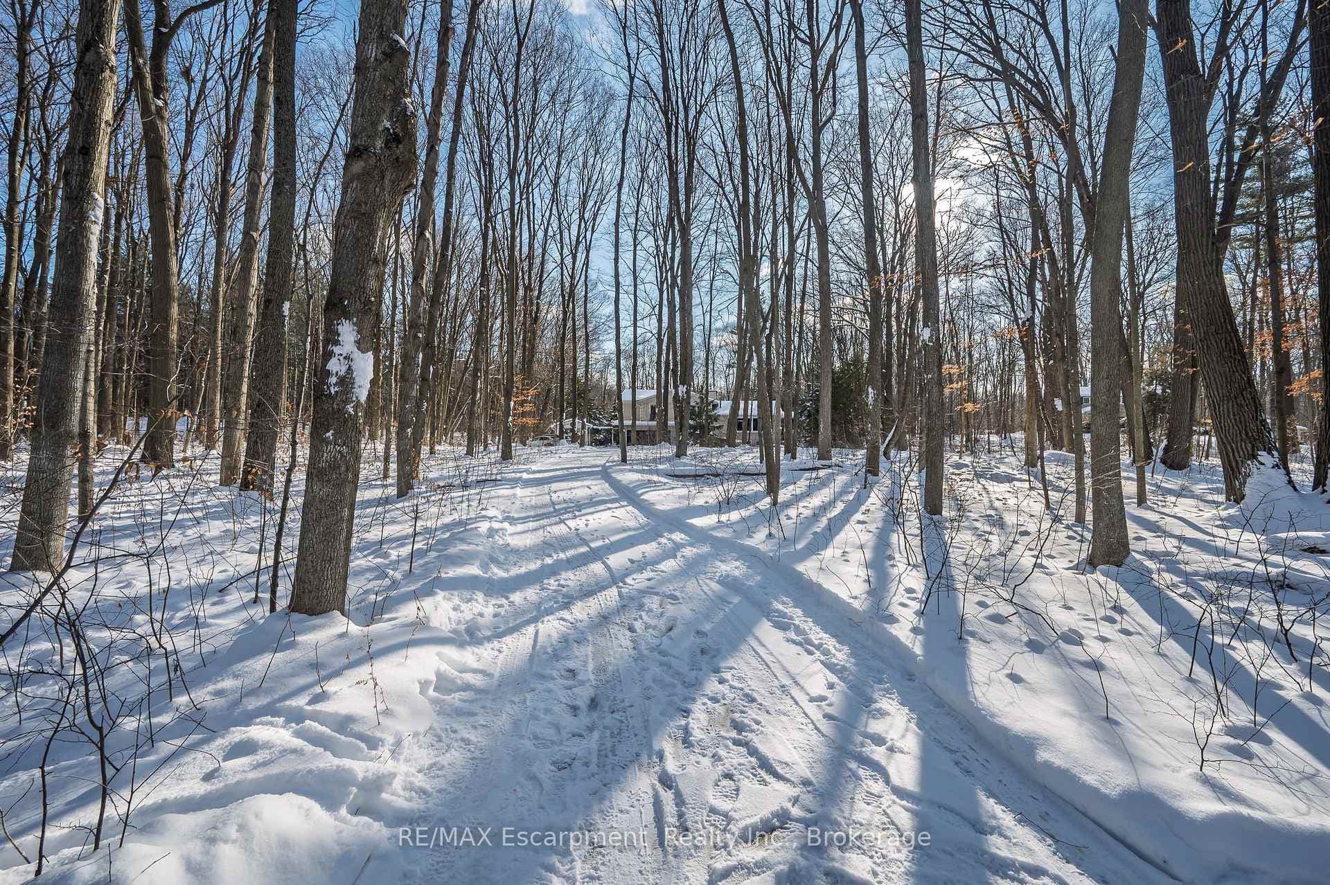 1158 Conservation Road photo 5