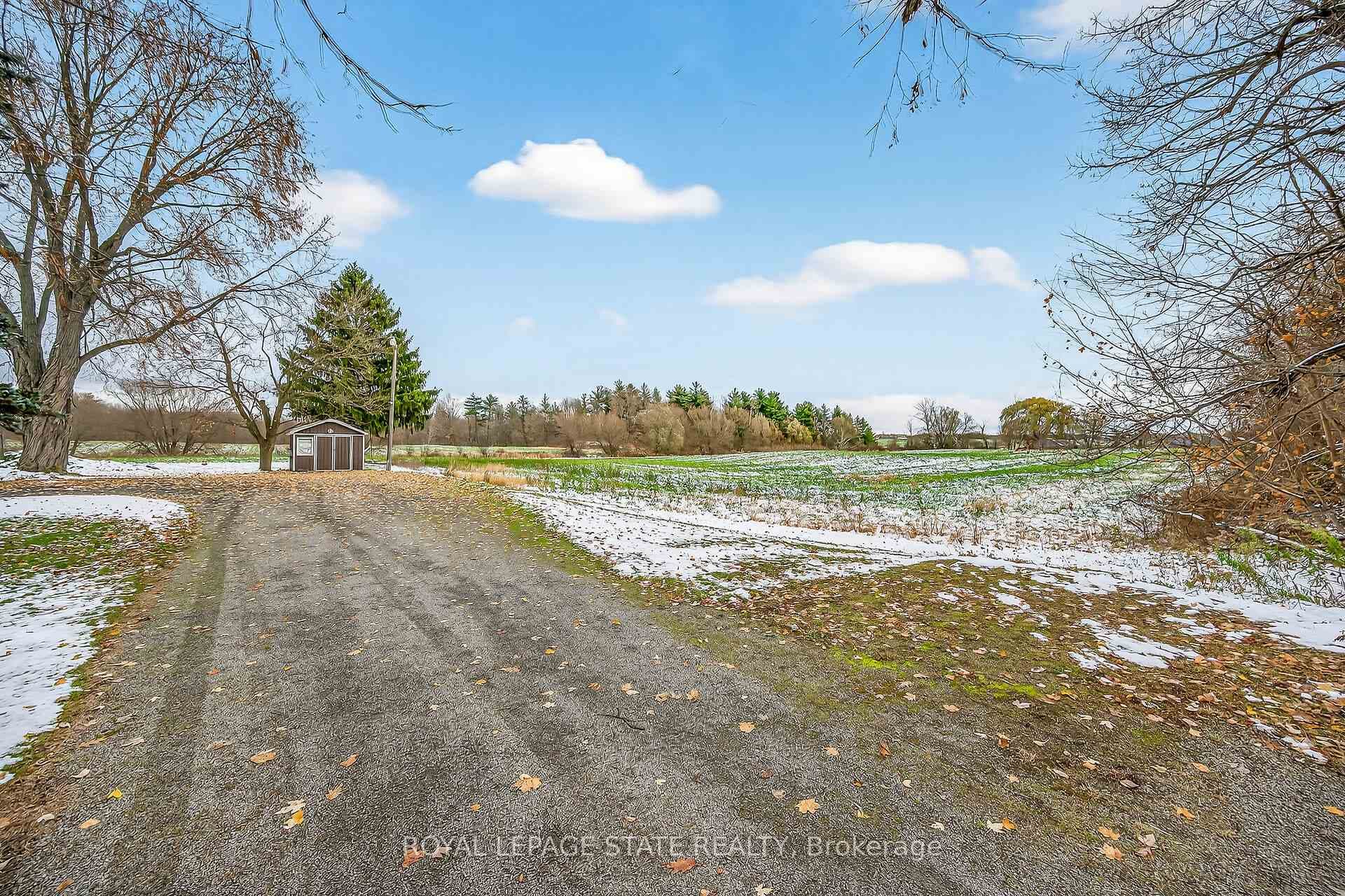 Driveway & Shed