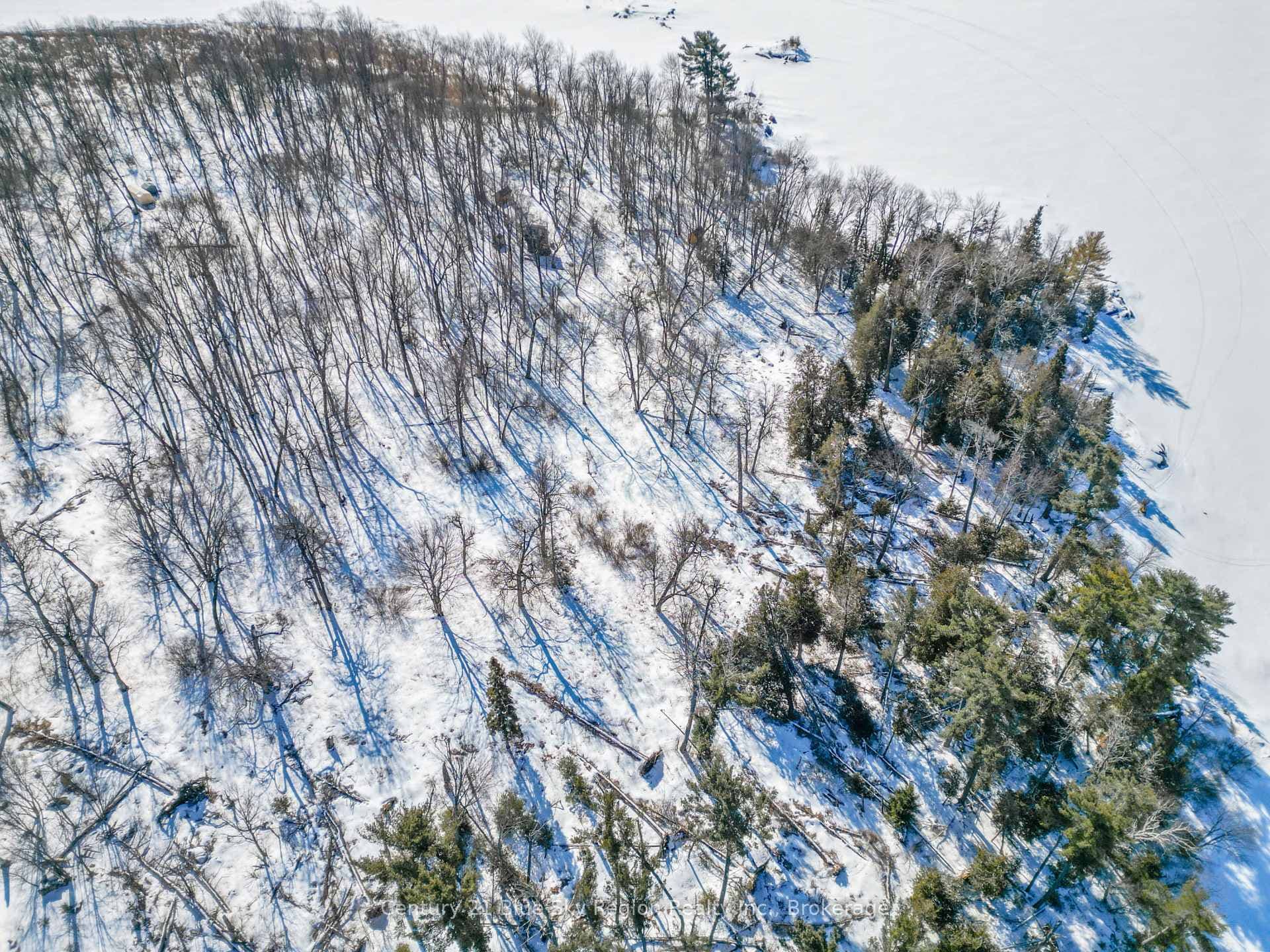 8 Grand Trunk Island photo 12